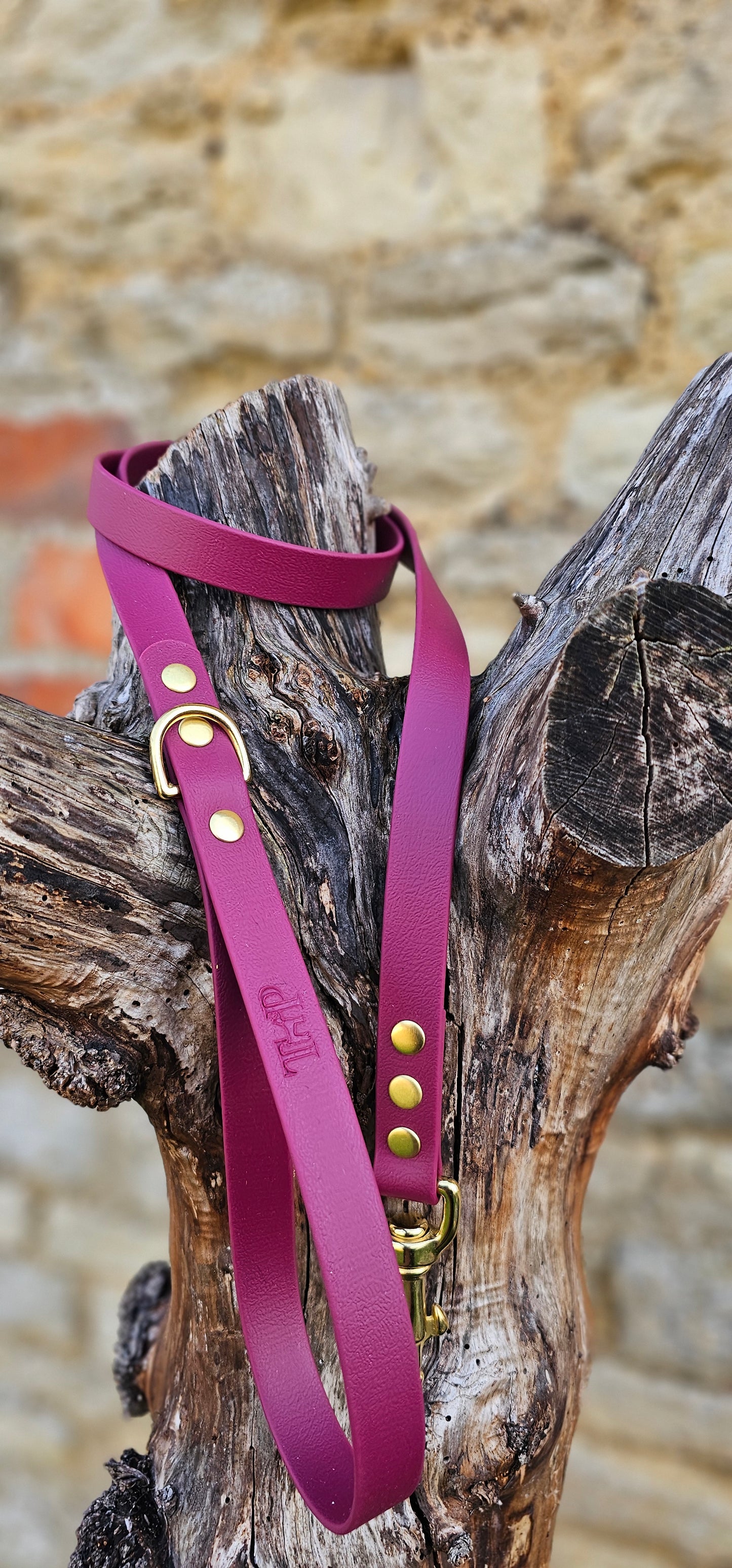 Burgundy - Everlast Waterproof BioThane© Dog Lead