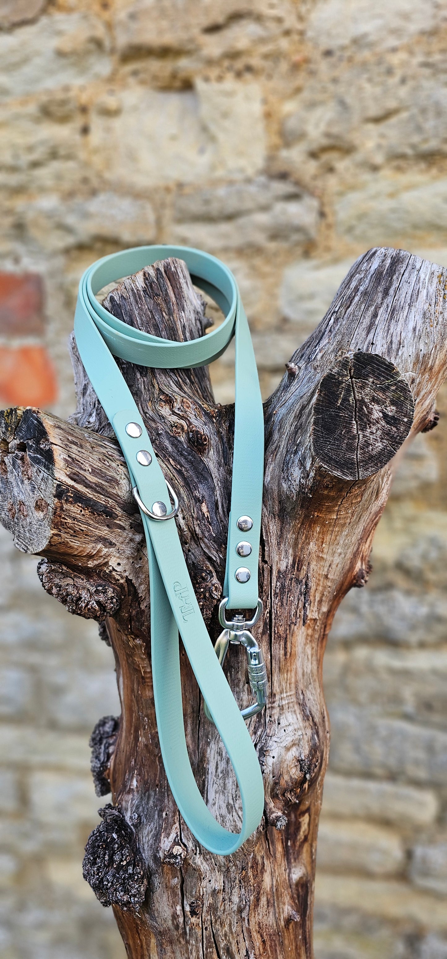 Sage - Everlast Waterproof BioThane© Dog Lead
