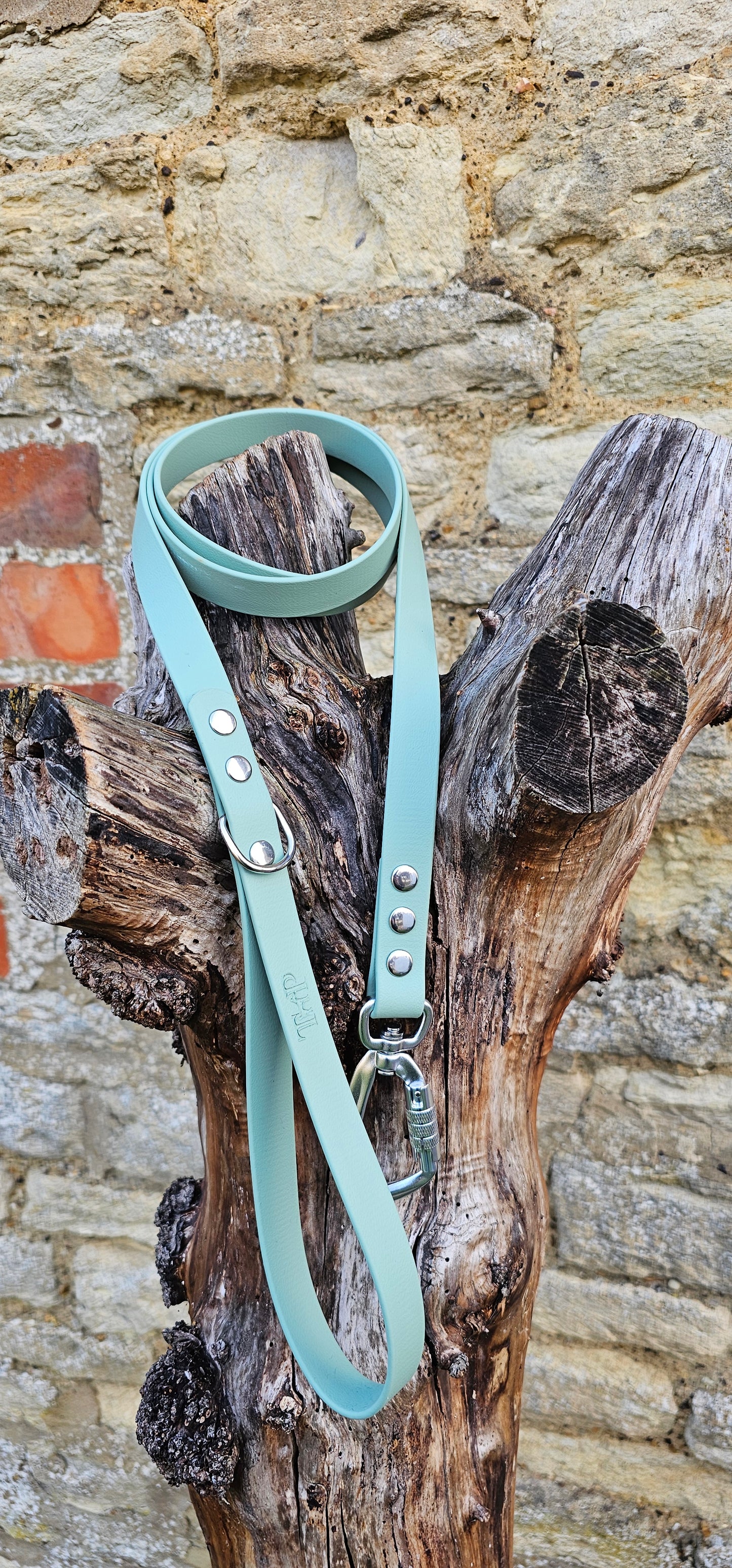 Sage - Everlast Waterproof BioThane© Dog Lead