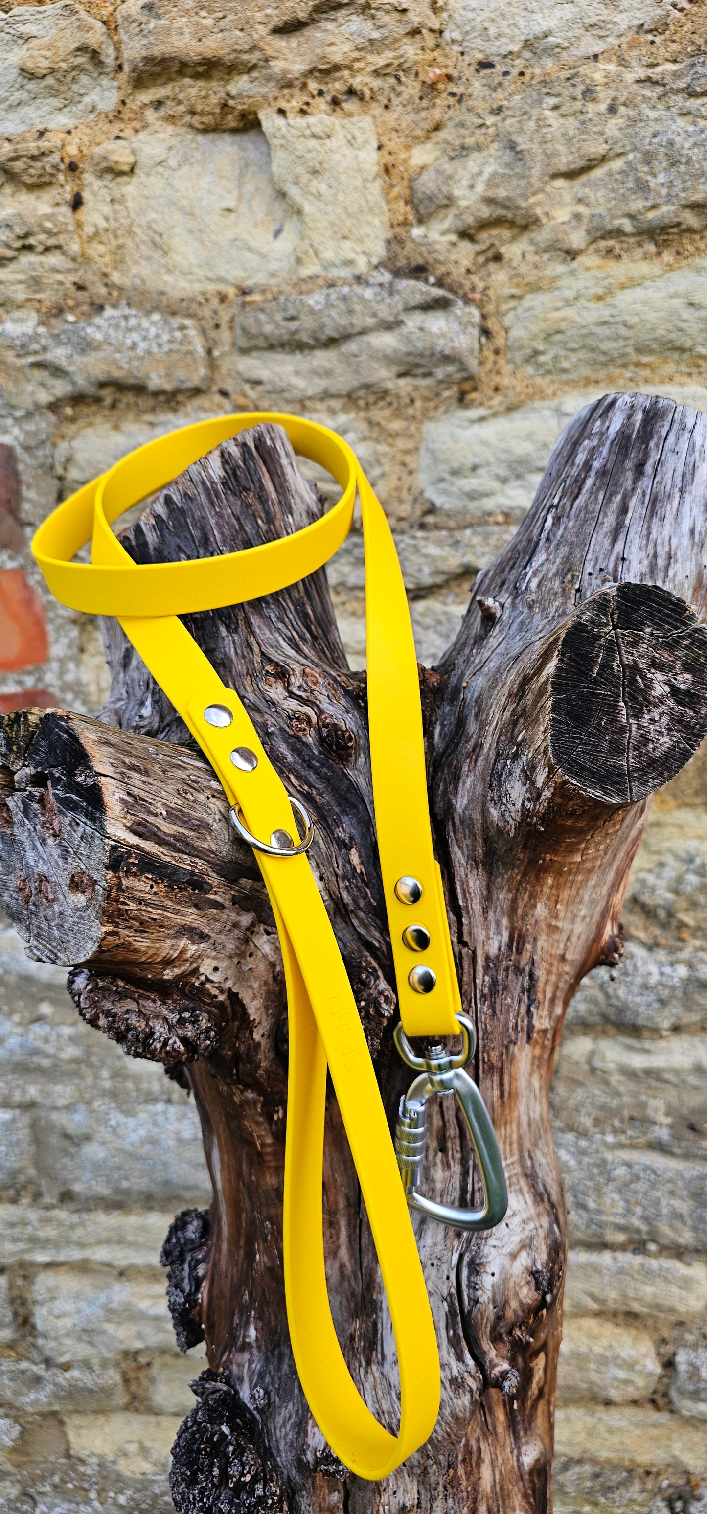 Yellow - Everlast Waterproof BioThane© Dog Lead