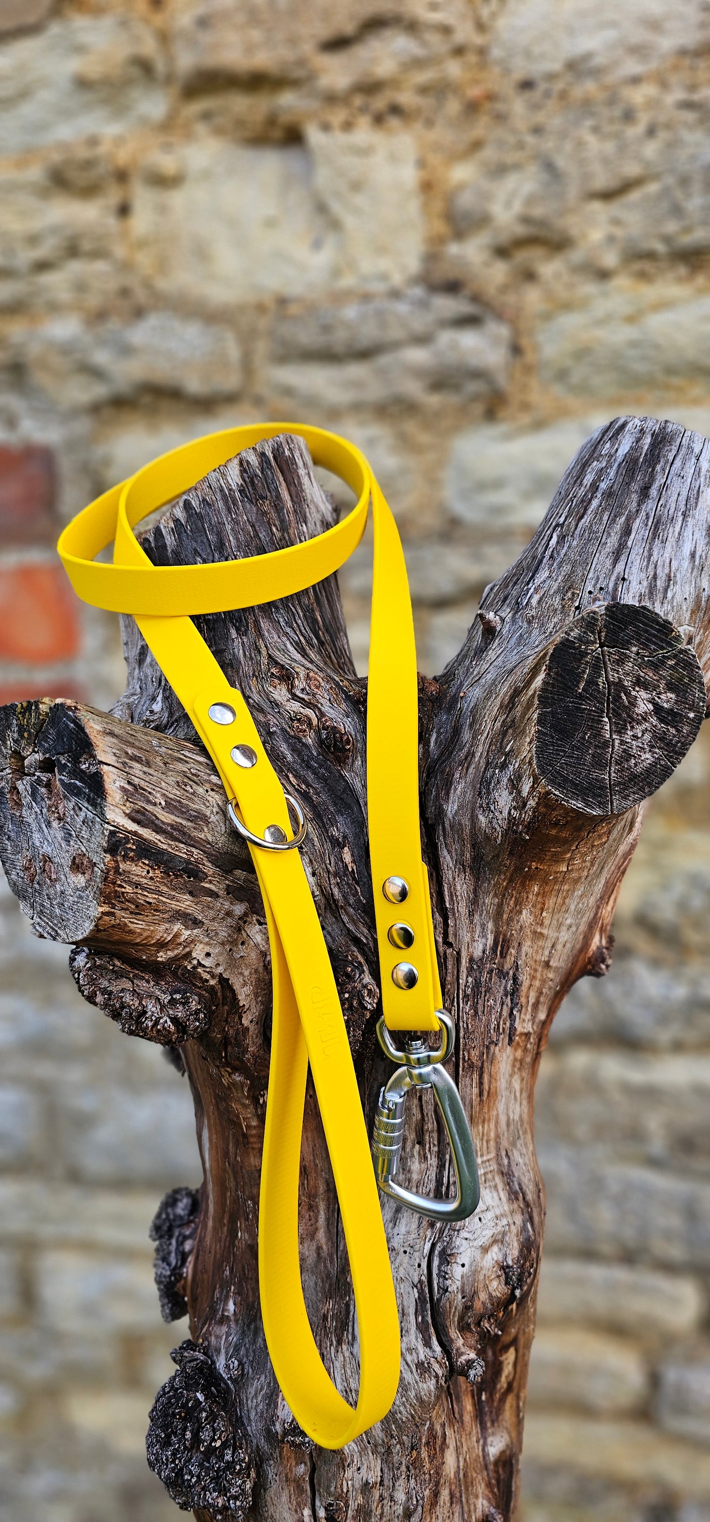 Yellow - Everlast Waterproof BioThane© Dog Lead