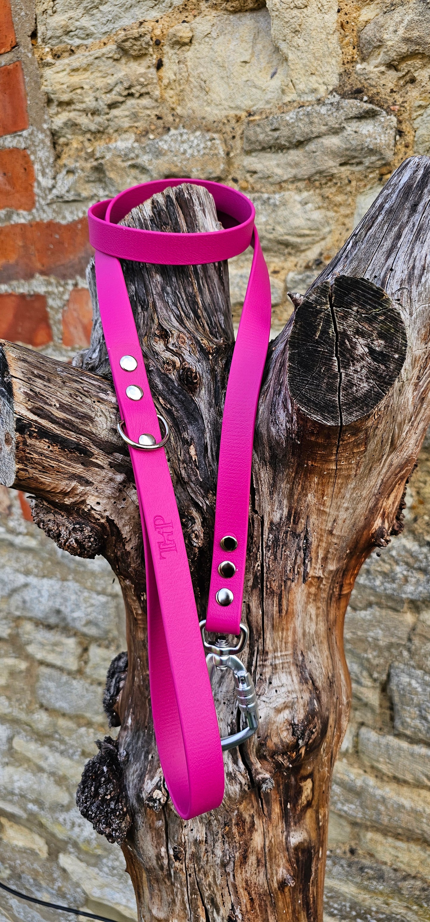 Magenta - Everlast Waterproof BioThane© Dog Lead