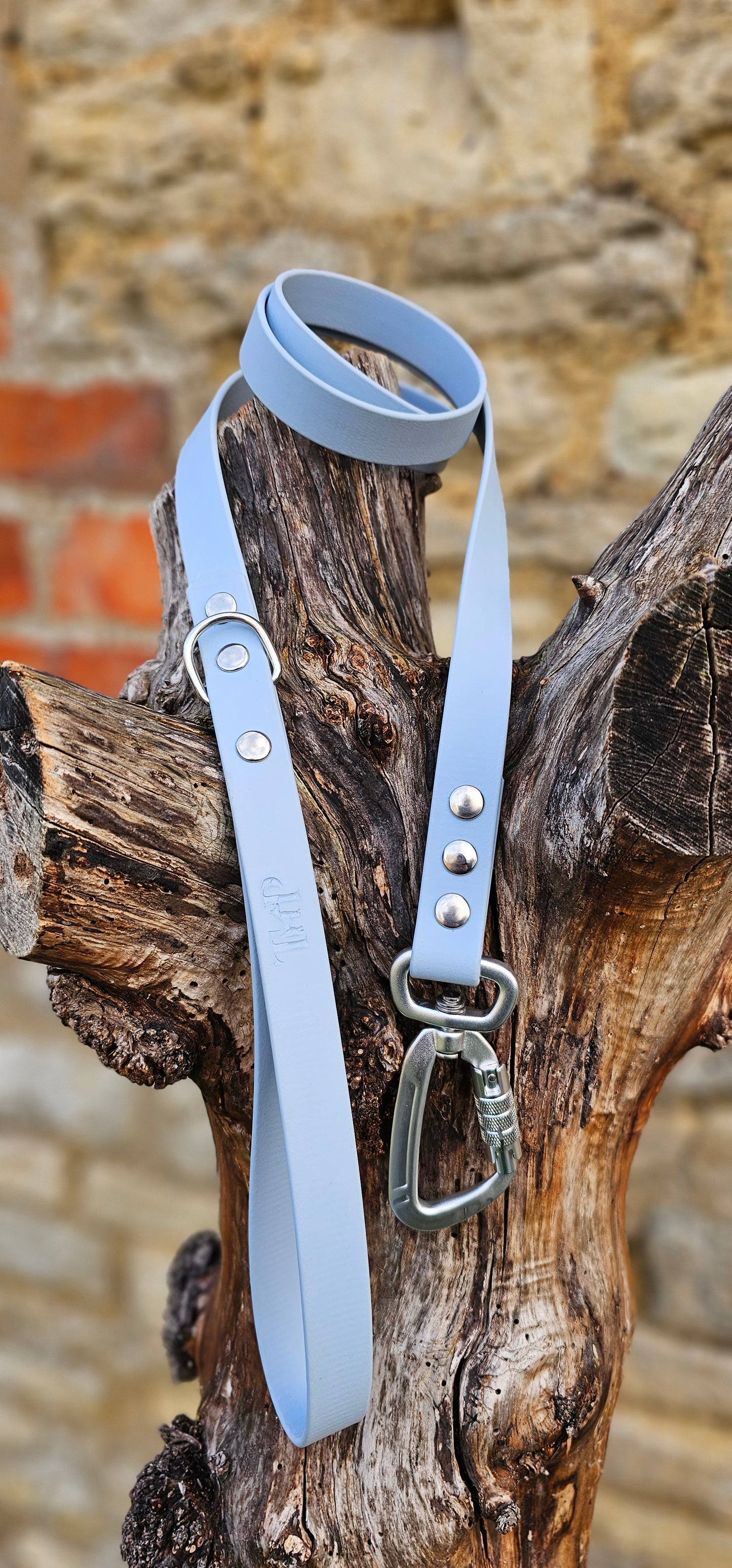 Baby Blue - Everlast Waterproof BioThane© Dog Lead