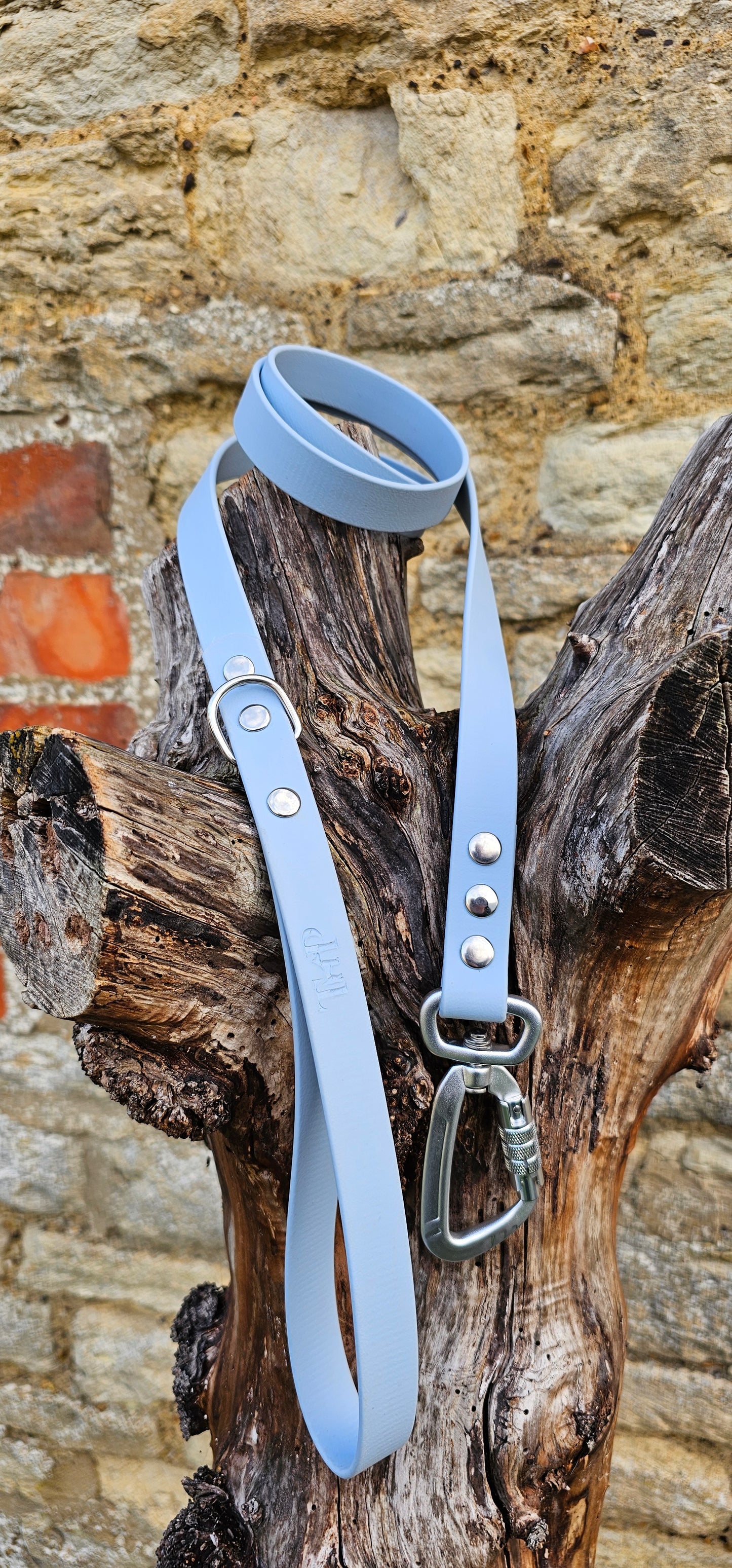 Baby Blue - Everlast Waterproof BioThane© Dog Lead