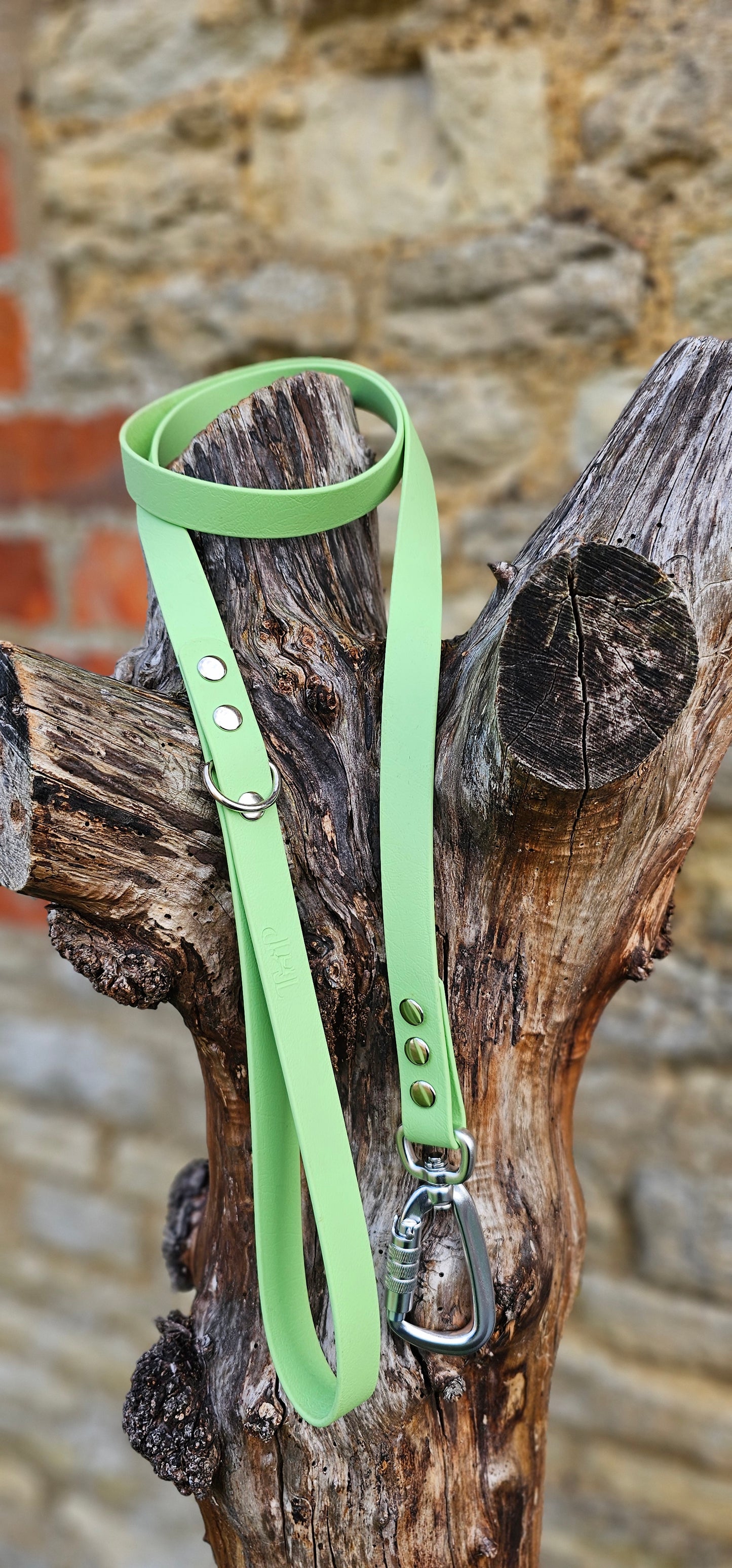 Pistachio - Everlast Waterproof BioThane© Dog Lead