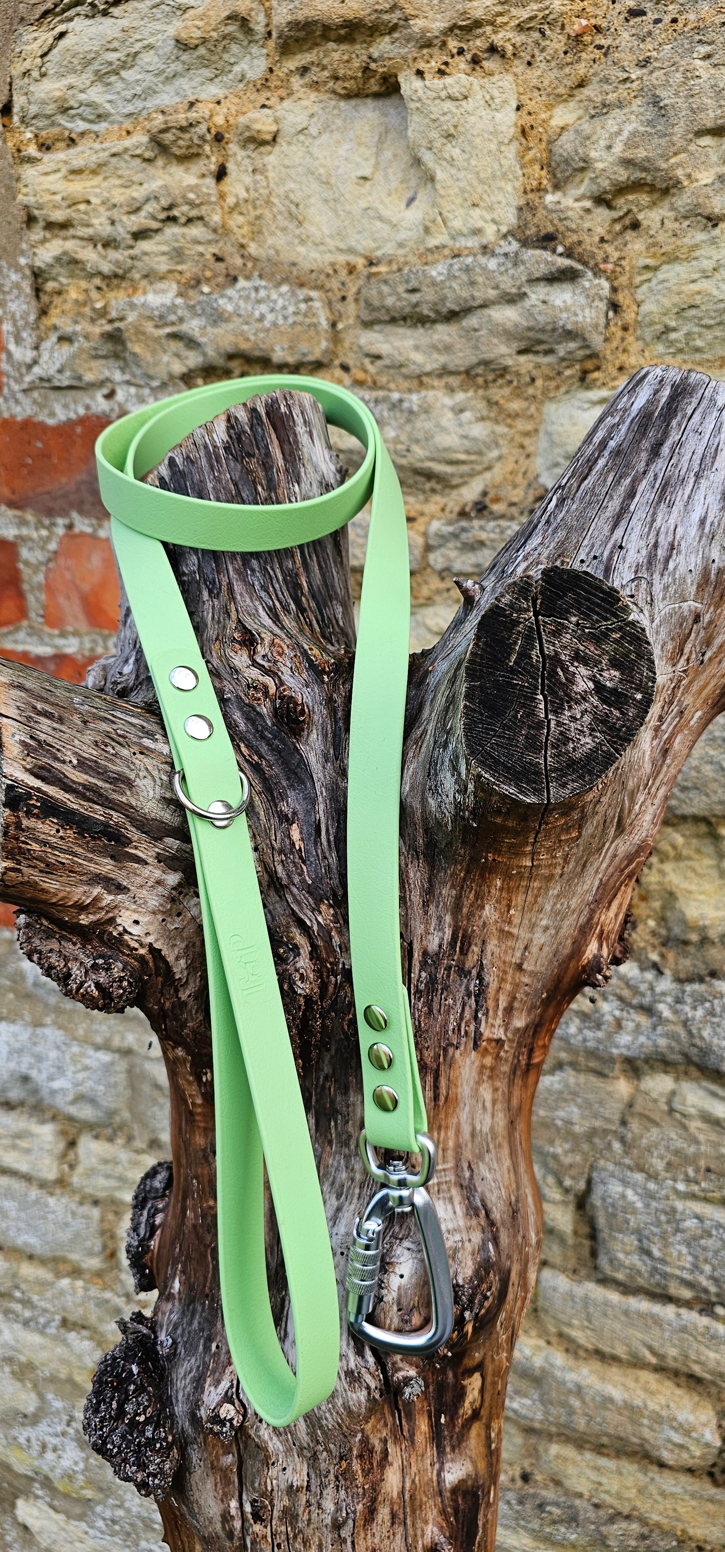 Pistachio - Everlast Waterproof BioThane© Dog Lead