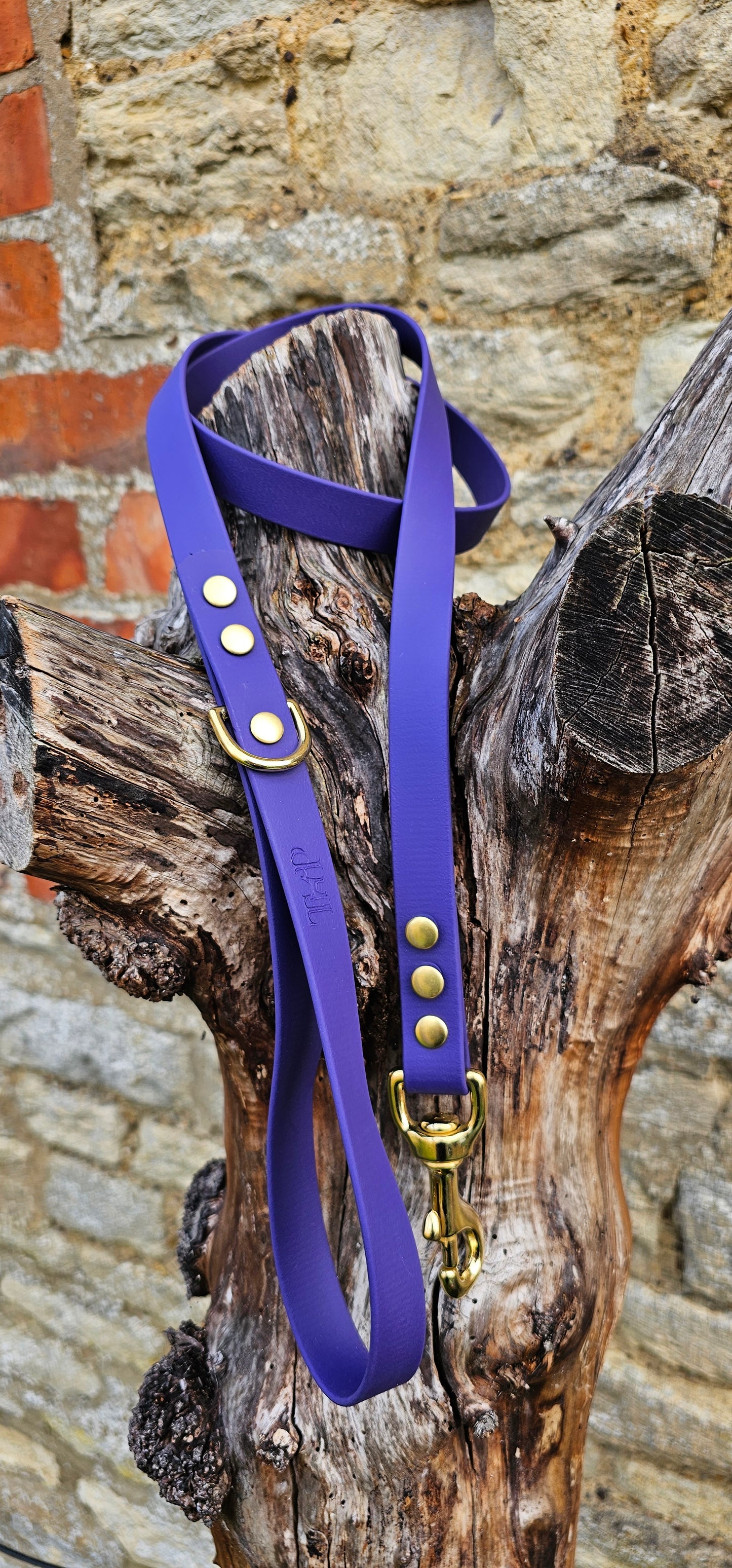 Purple - Everlast Waterproof BioThane© Dog Lead