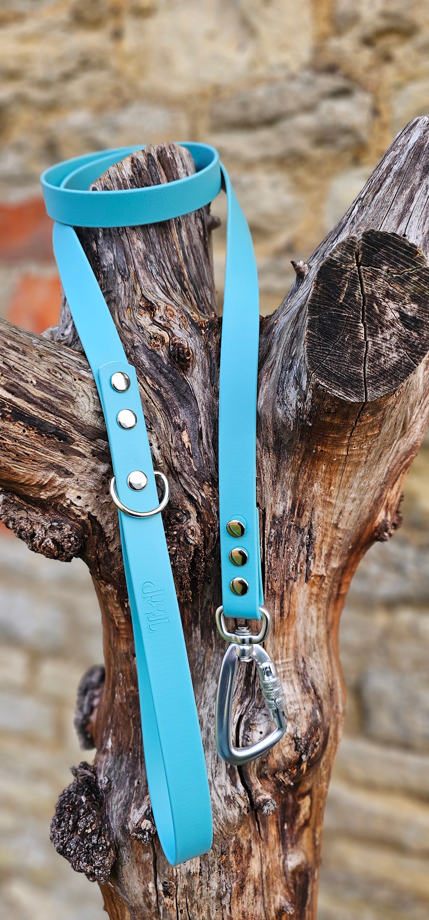 Duckegg - Everlast Waterproof BioThane© Dog Lead