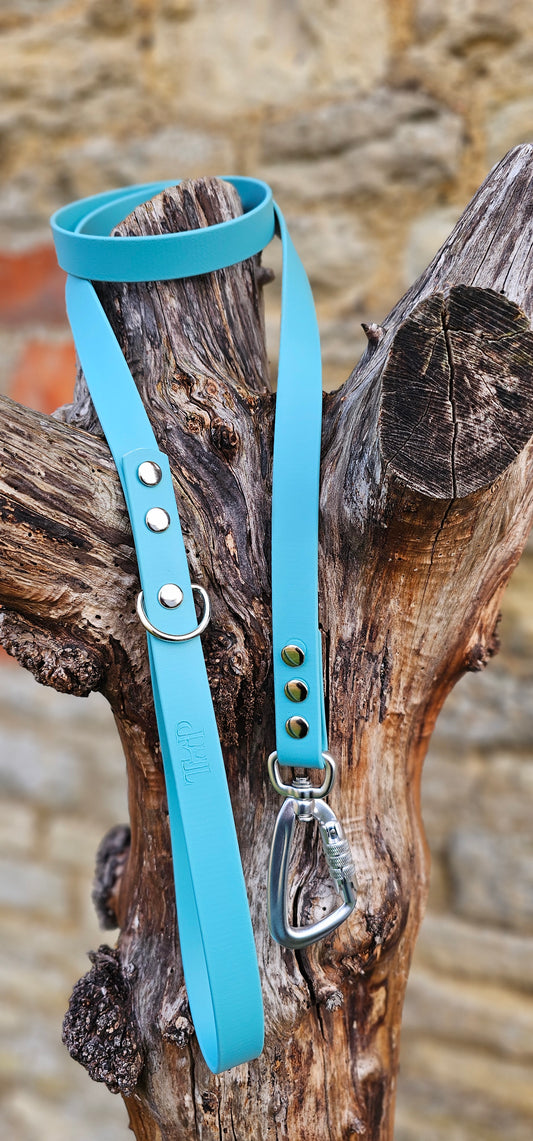 Duckegg - Everlast Waterproof BioThane© Dog Lead