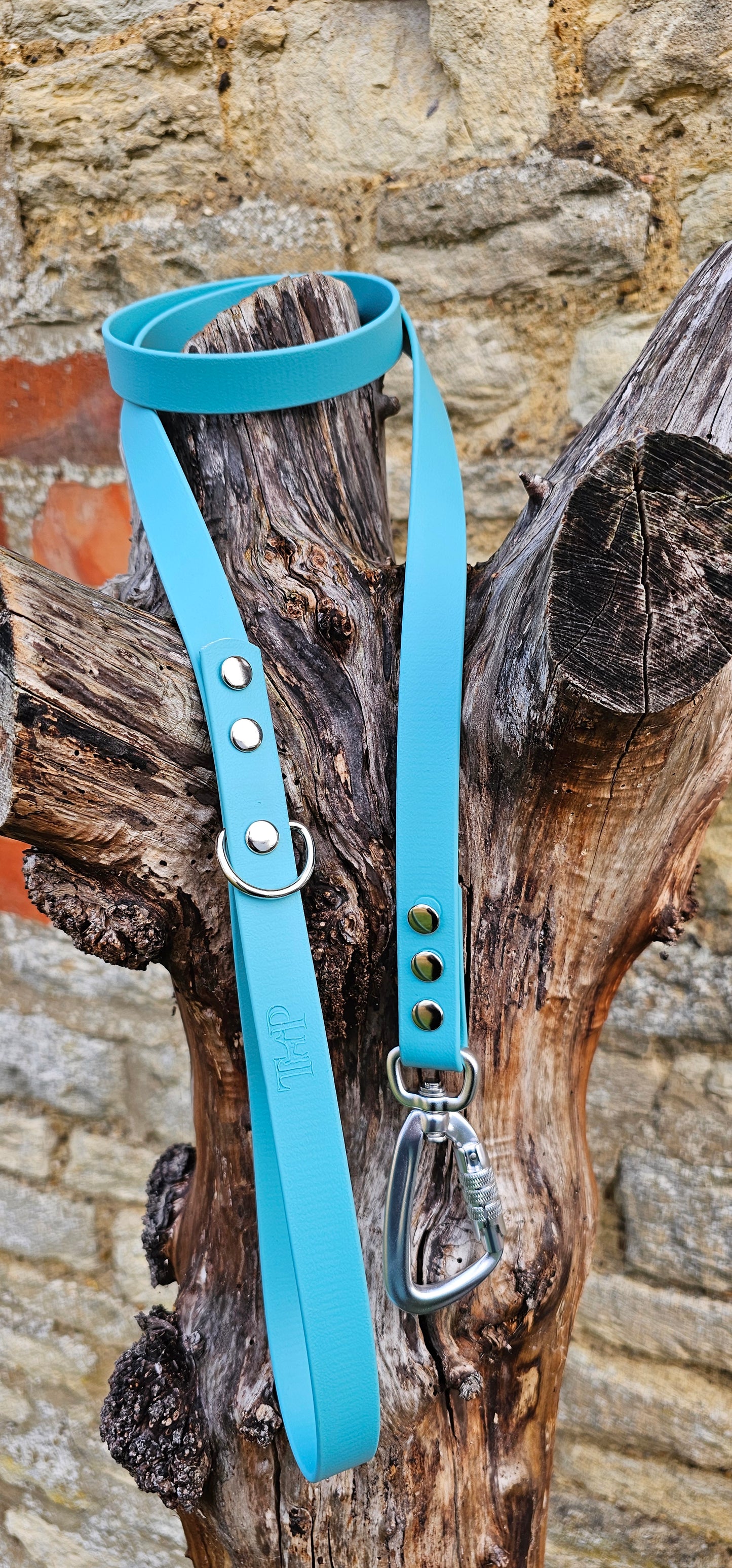 Duckegg - Everlast Waterproof BioThane© Dog Lead