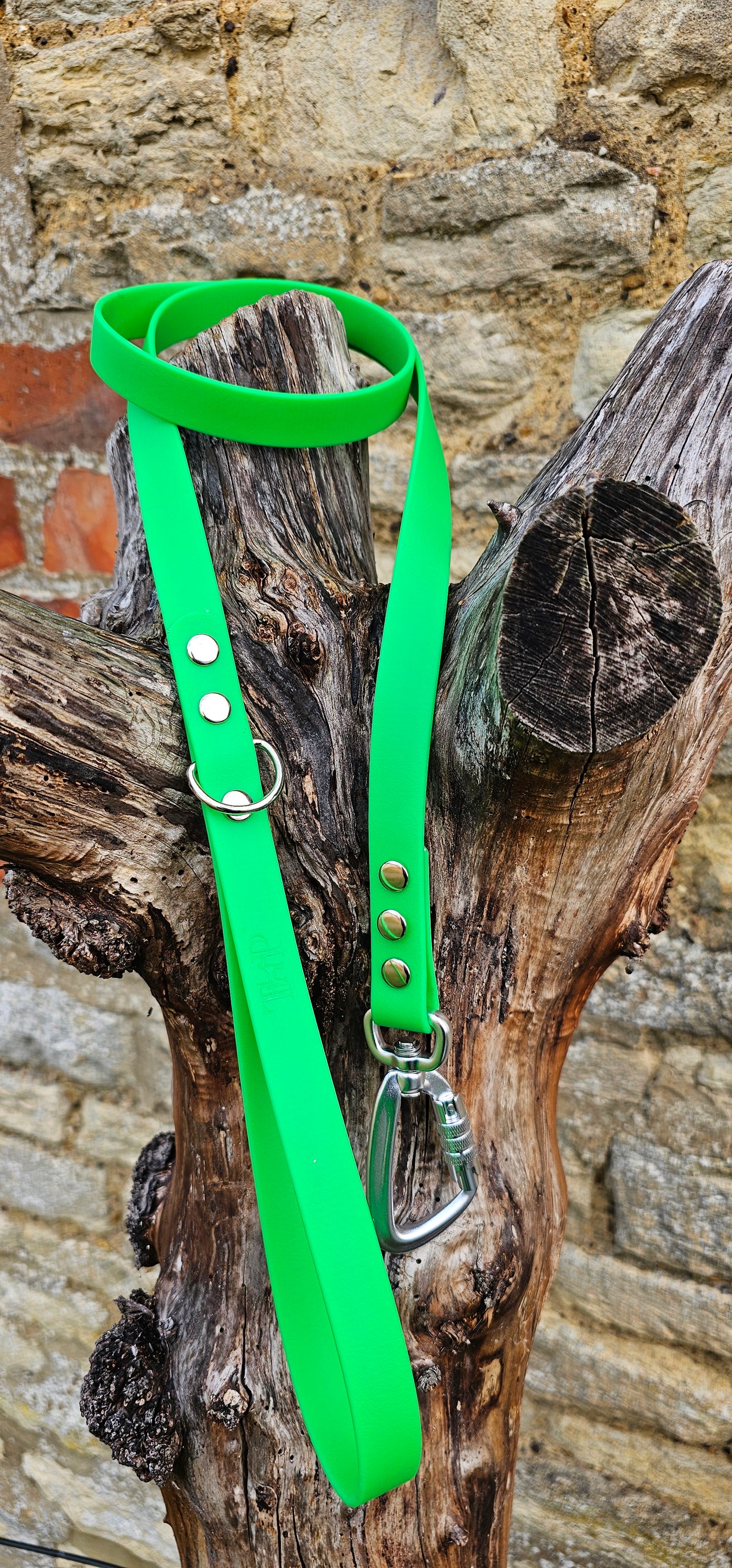 Neon Green - Everlast Waterproof BioThane© Dog Lead