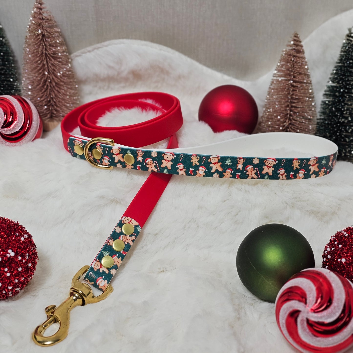 Gingerpaws & Friends – Waterproof BioThane® Dog Lead