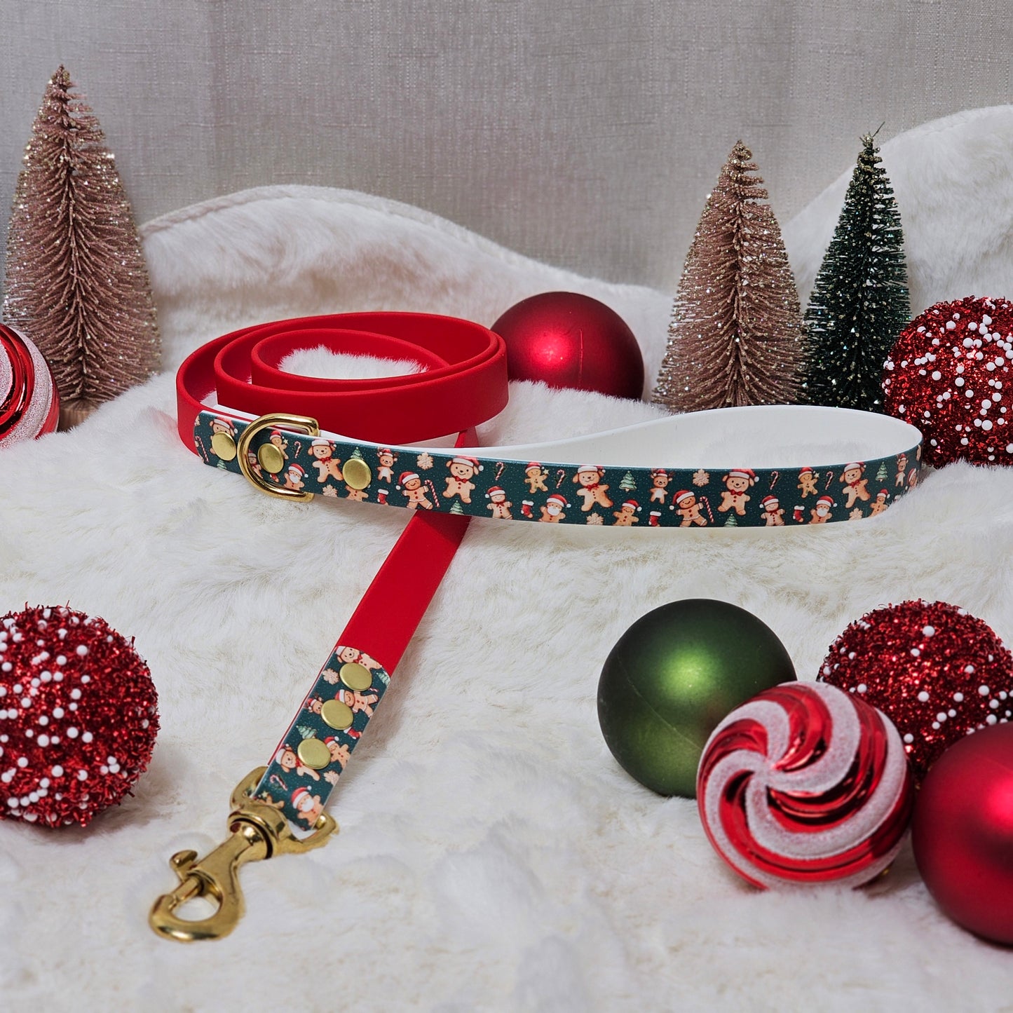 Gingerpaws & Friends – Waterproof BioThane® Dog Lead