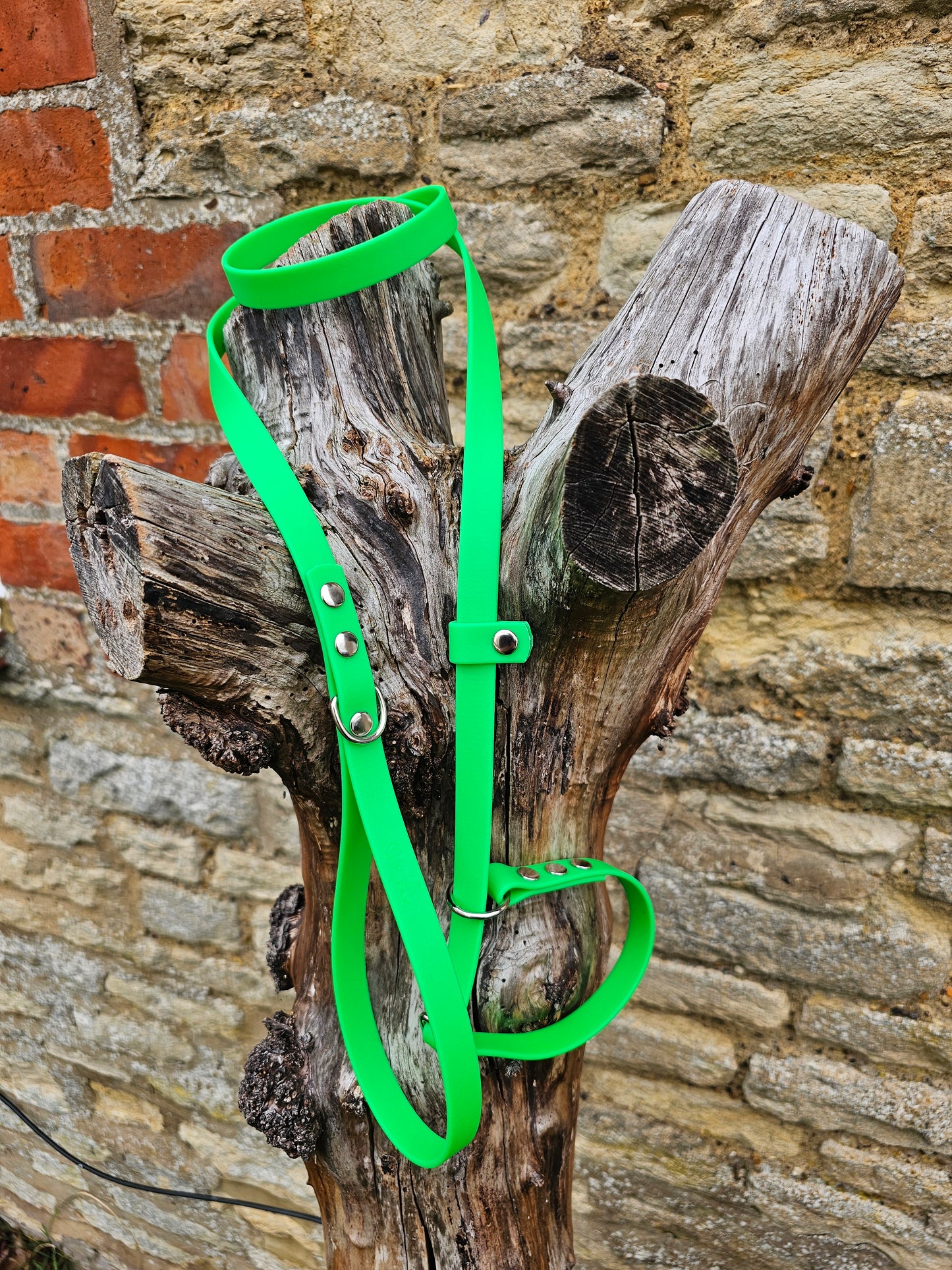 Neon Green - Waterproof BioThane® Dog Slip Lead