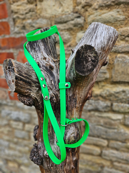 Neon Green - Waterproof BioThane® Dog Slip Lead