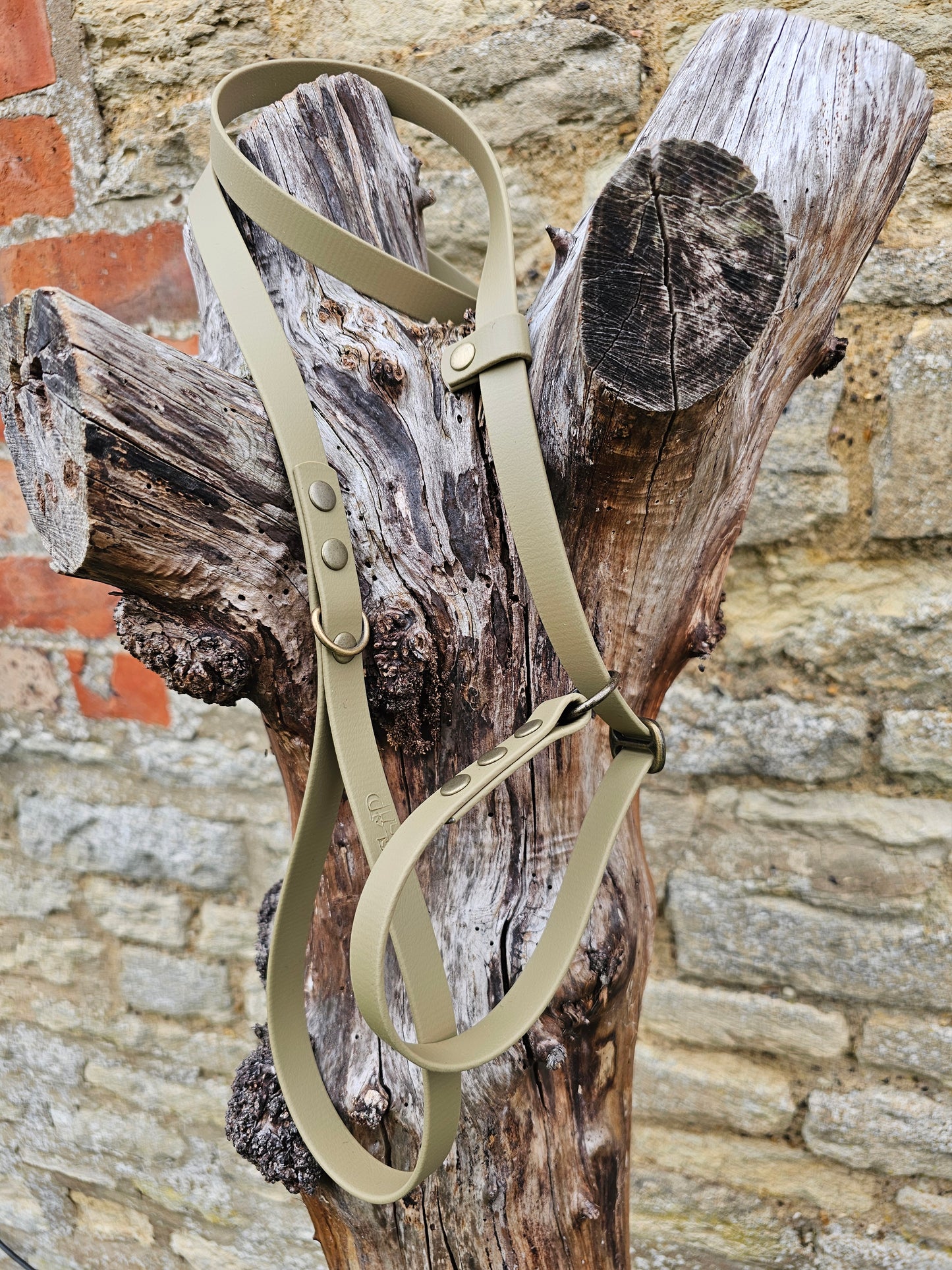 Clay - Waterproof BioThane® Dog Slip Lead