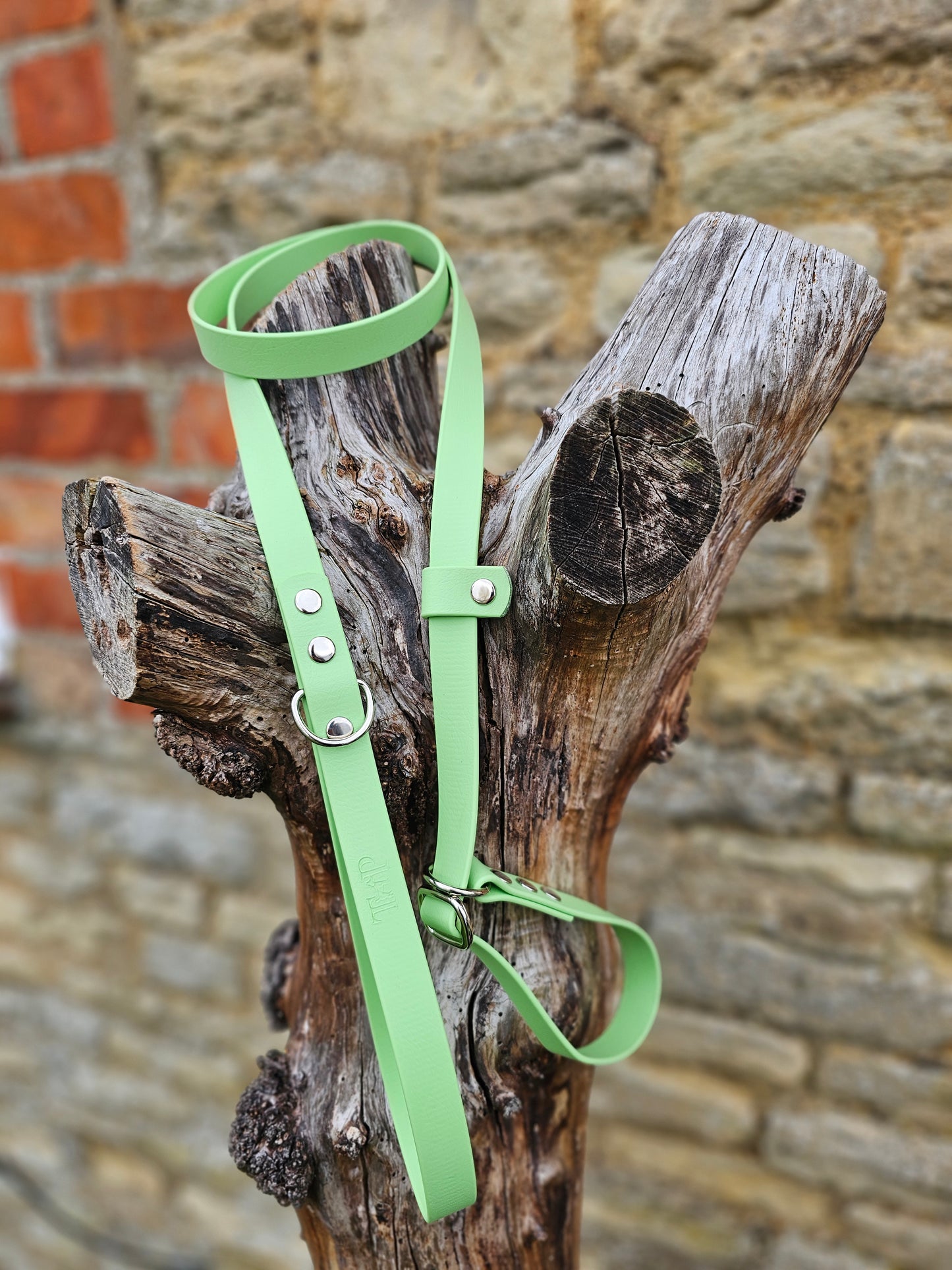 Pistachio - Waterproof BioThane® Dog Slip Lead