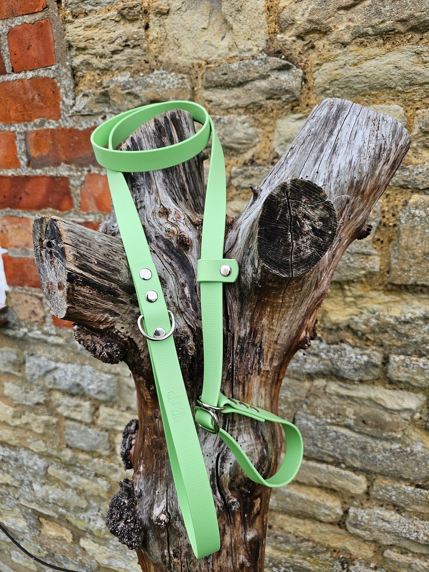 Pistachio - Waterproof BioThane® Dog Slip Lead