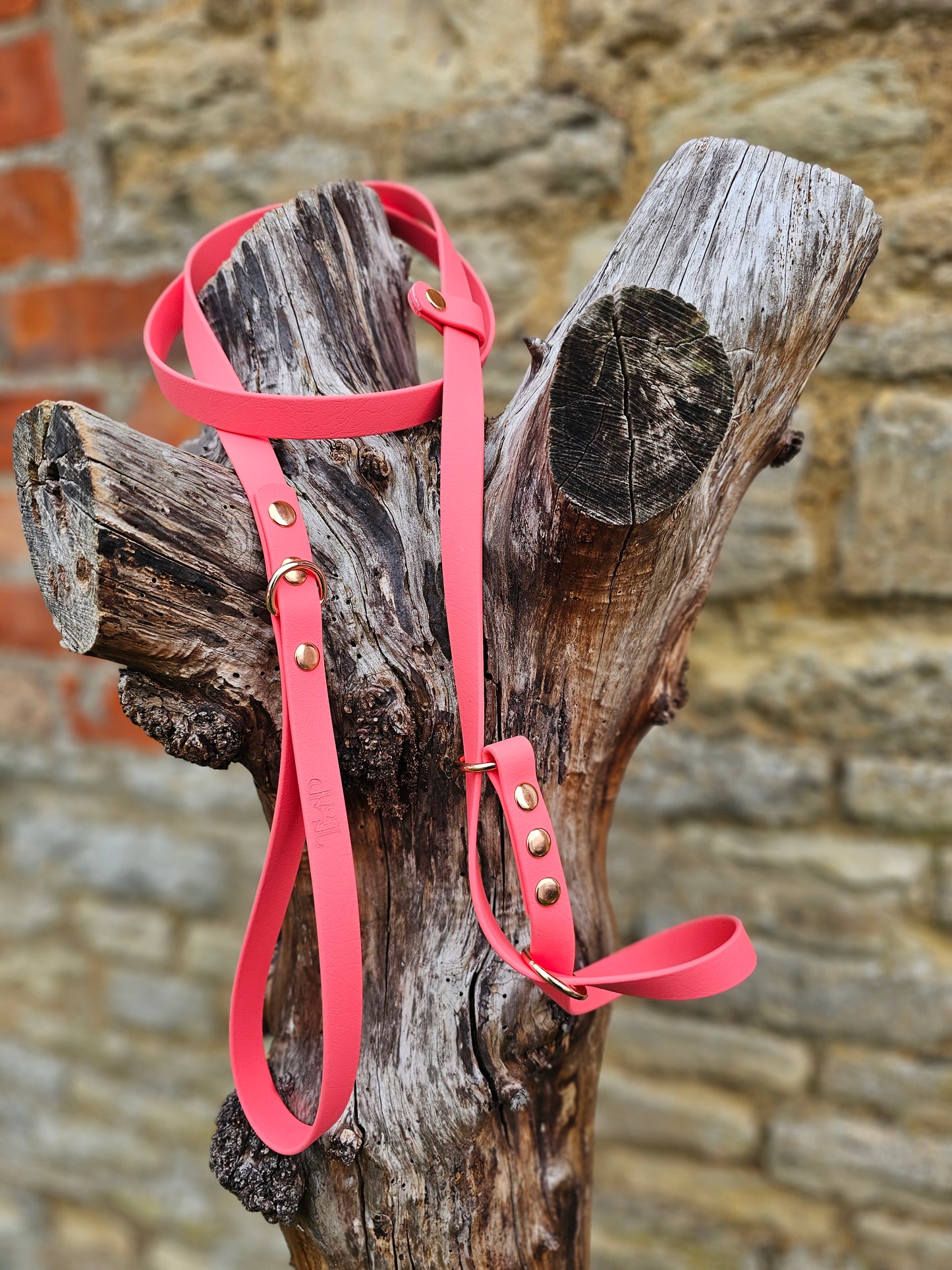 Coral - Waterproof BioThane© Figure8 Dog Lead