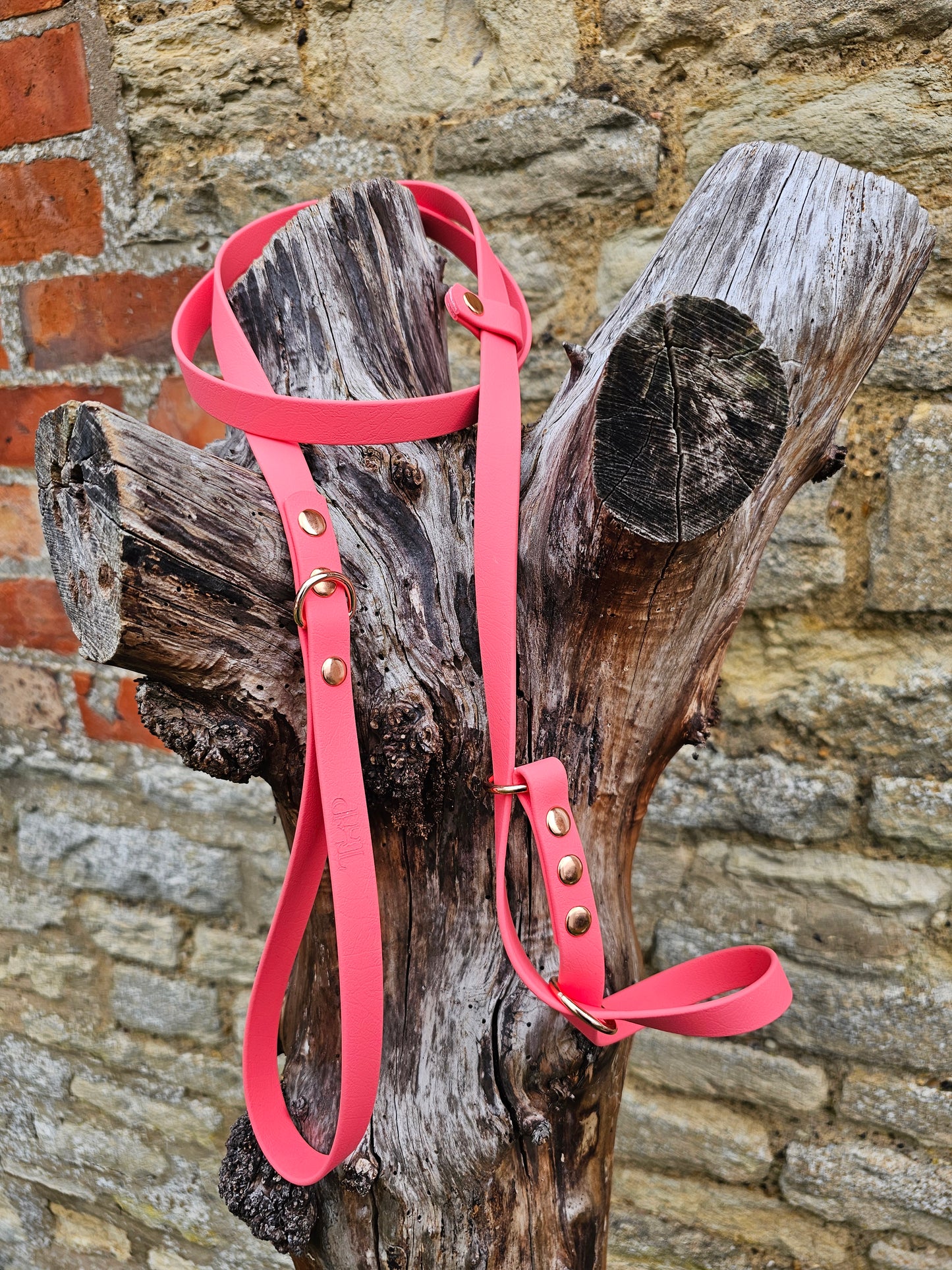 Coral - Waterproof BioThane© Figure8 Dog Lead