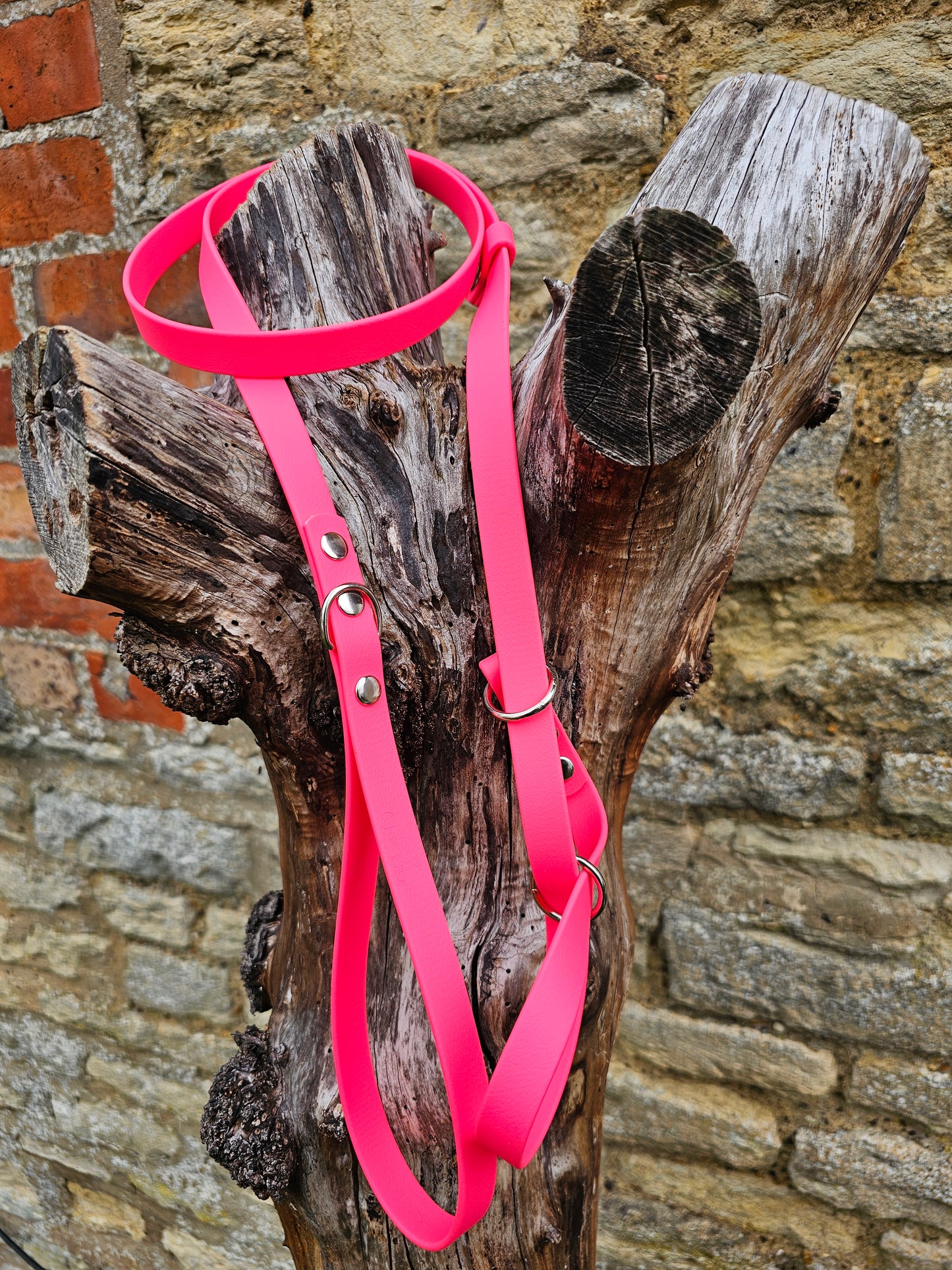 Neon Pink - Waterproof BioThane© Figure8 Dog Lead