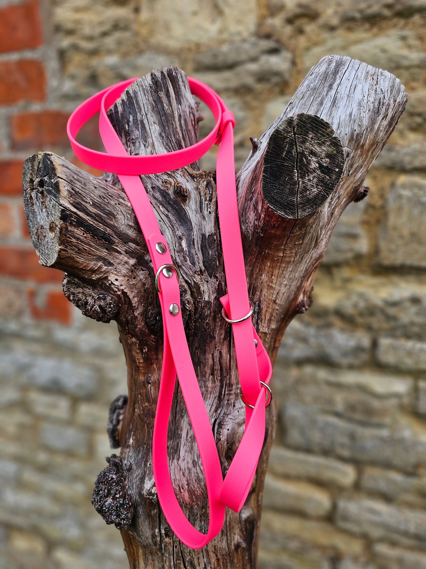 Neon Pink - Waterproof BioThane© Figure8 Dog Lead