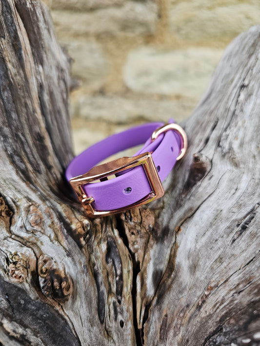 Amethyst - Waterproof BioThane© Dinky Dog Collar