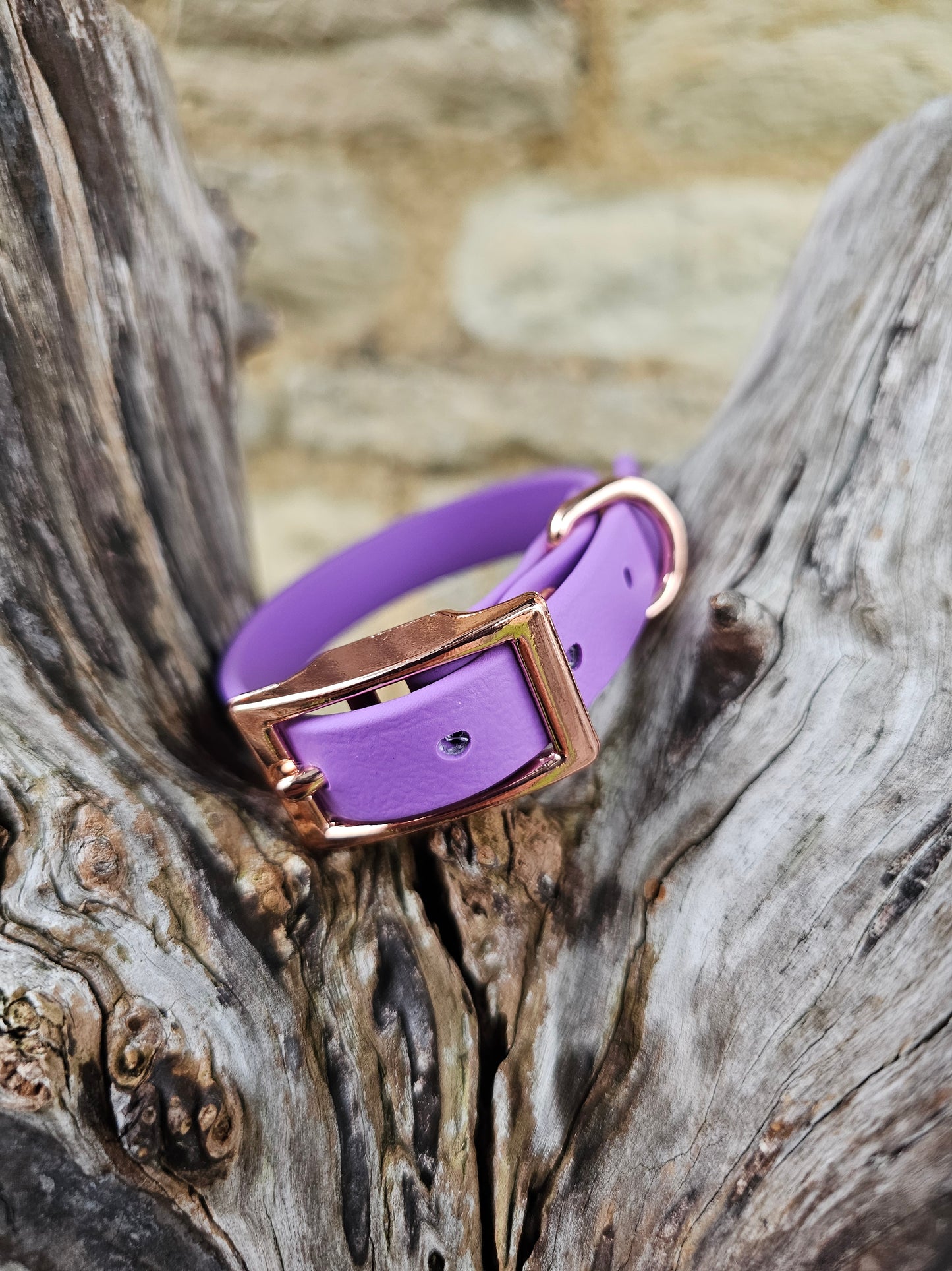 Amethyst - Waterproof BioThane© Dinky Dog Collar