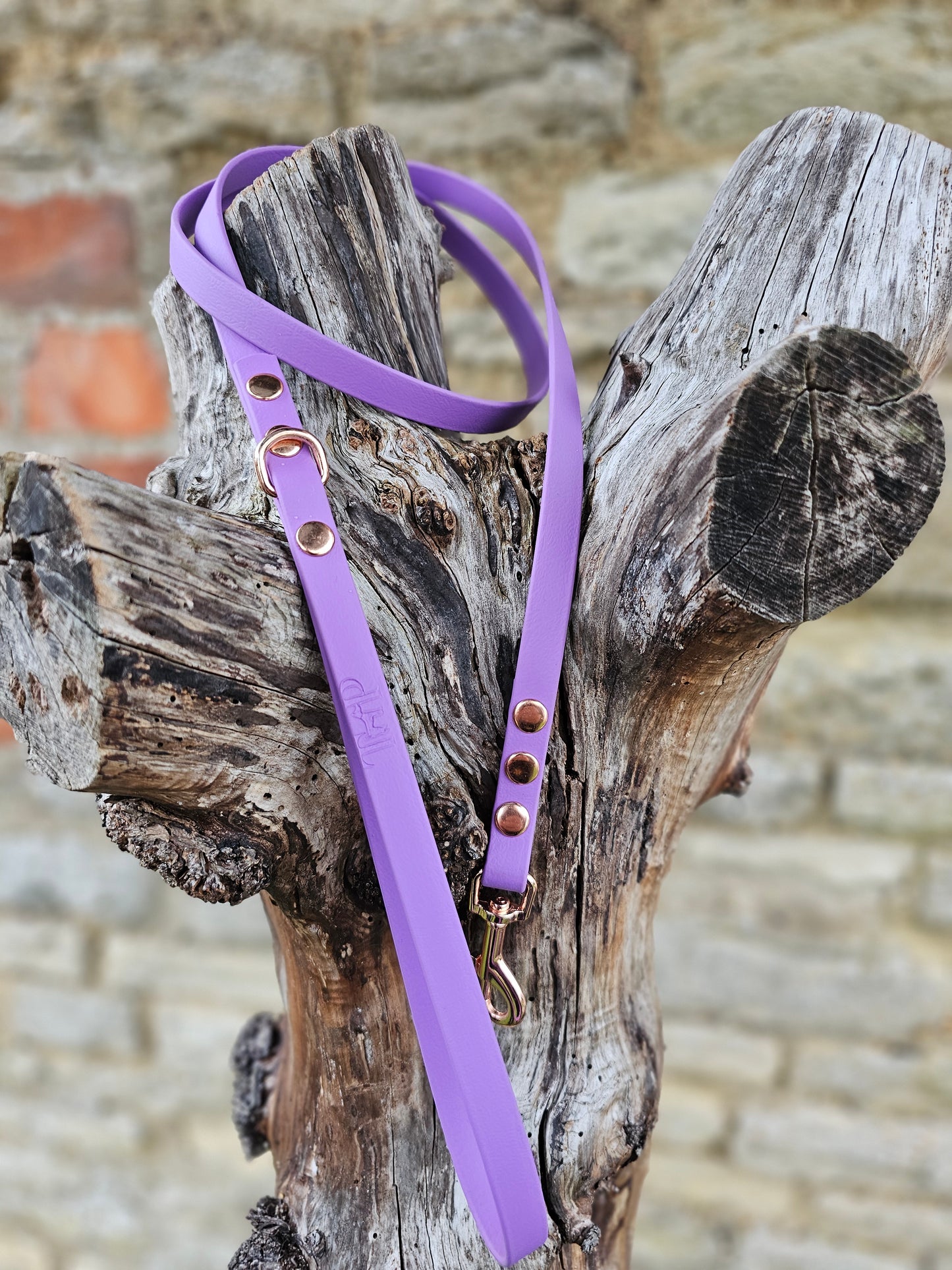 Amethyst - Waterproof BioThane© Dinky Dog Lead