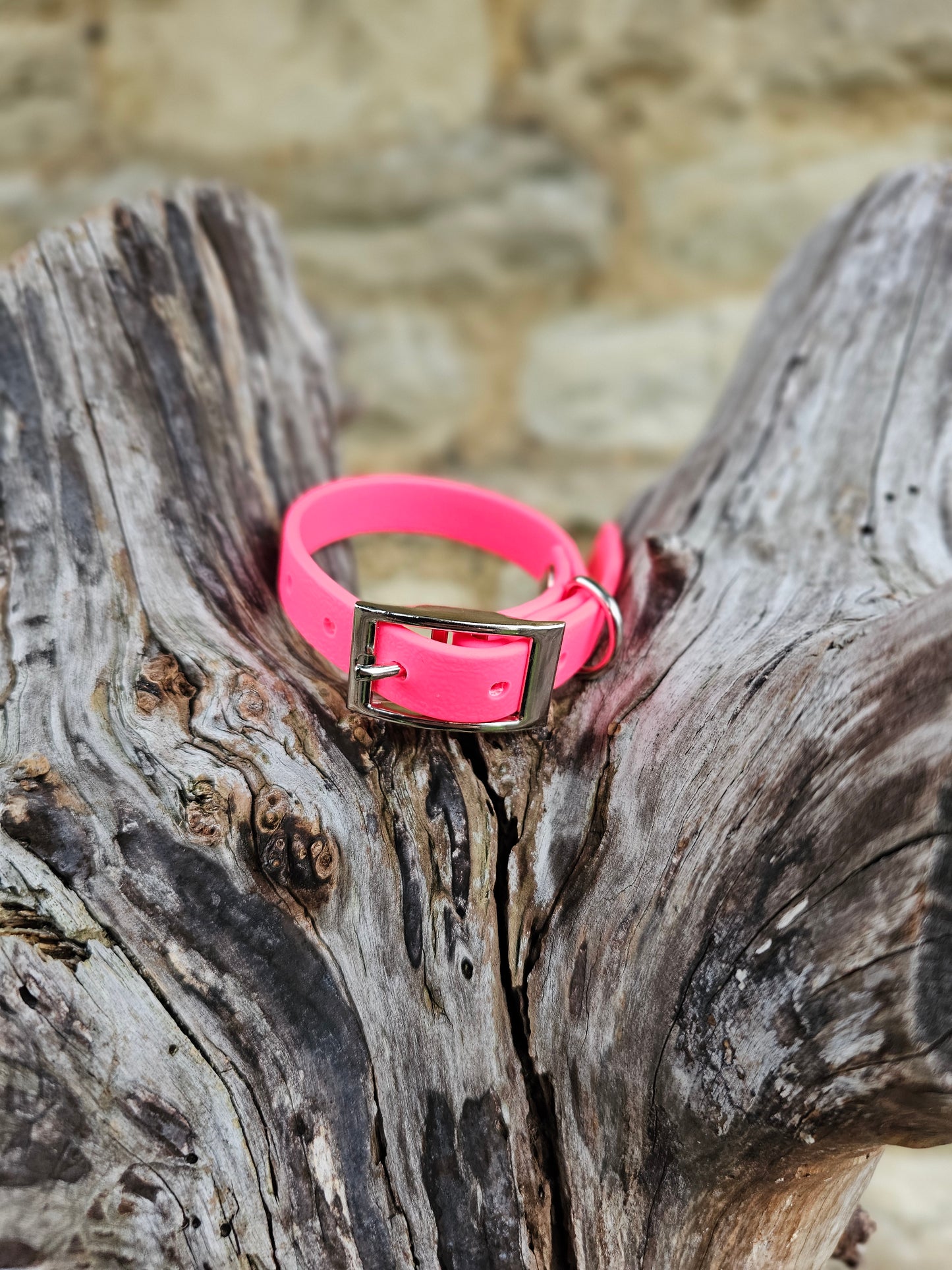 Neon Pink - Waterproof BioThane© Dinky Dog Collar