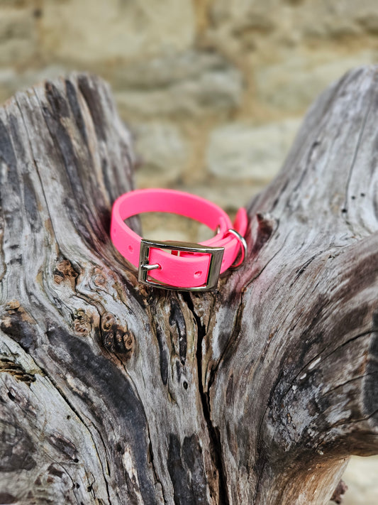 Neon Pink - Waterproof BioThane© Dinky Dog Collar