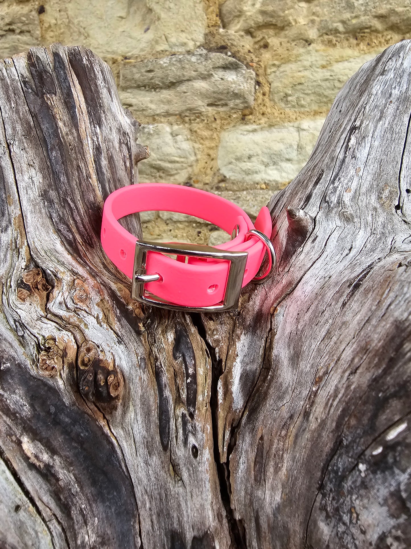 Neon Pink - Waterproof BioThane© Dinky Dog Collar