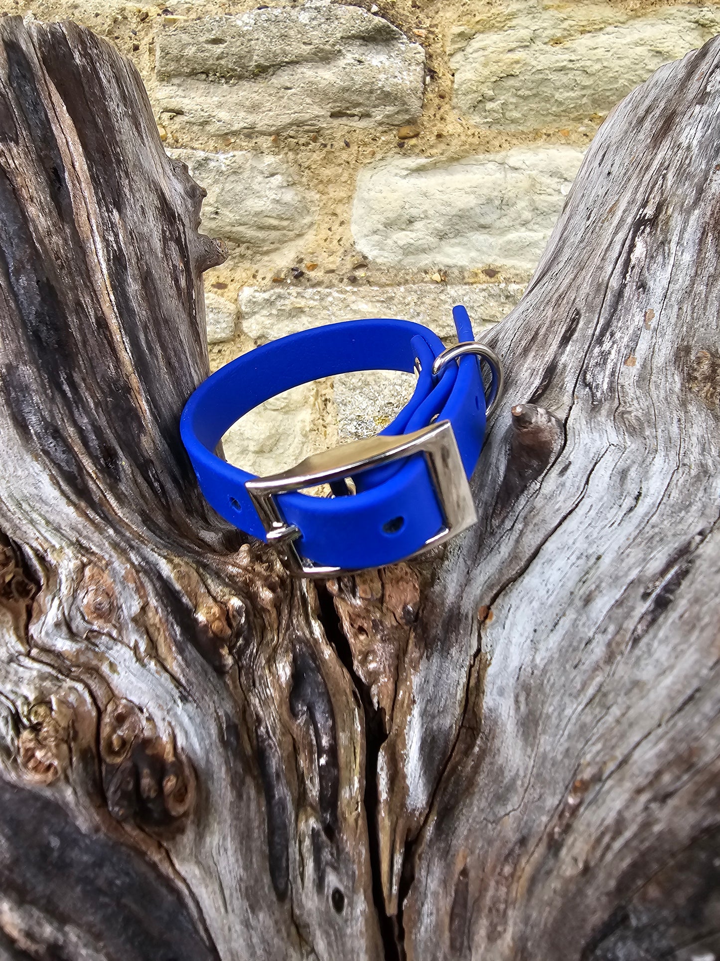 Royal Blue  - Waterproof BioThane© Dinky Dog Collar