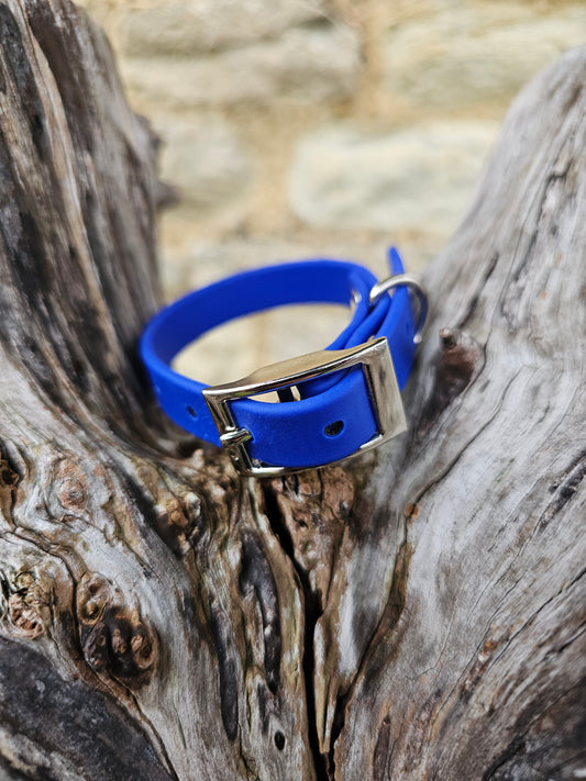 Royal Blue  - Waterproof BioThane© Dinky Dog Collar