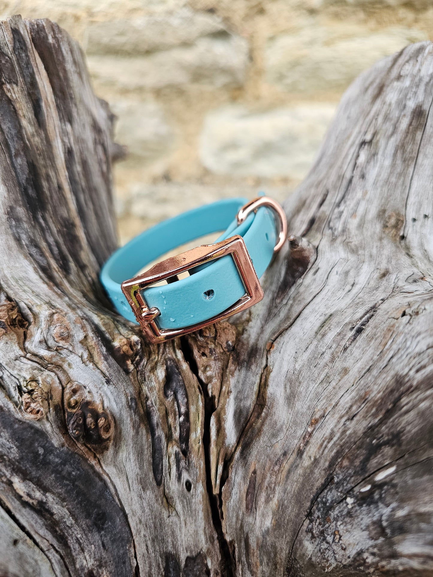 Duckegg - Waterproof BioThane© Dinky Dog Collar