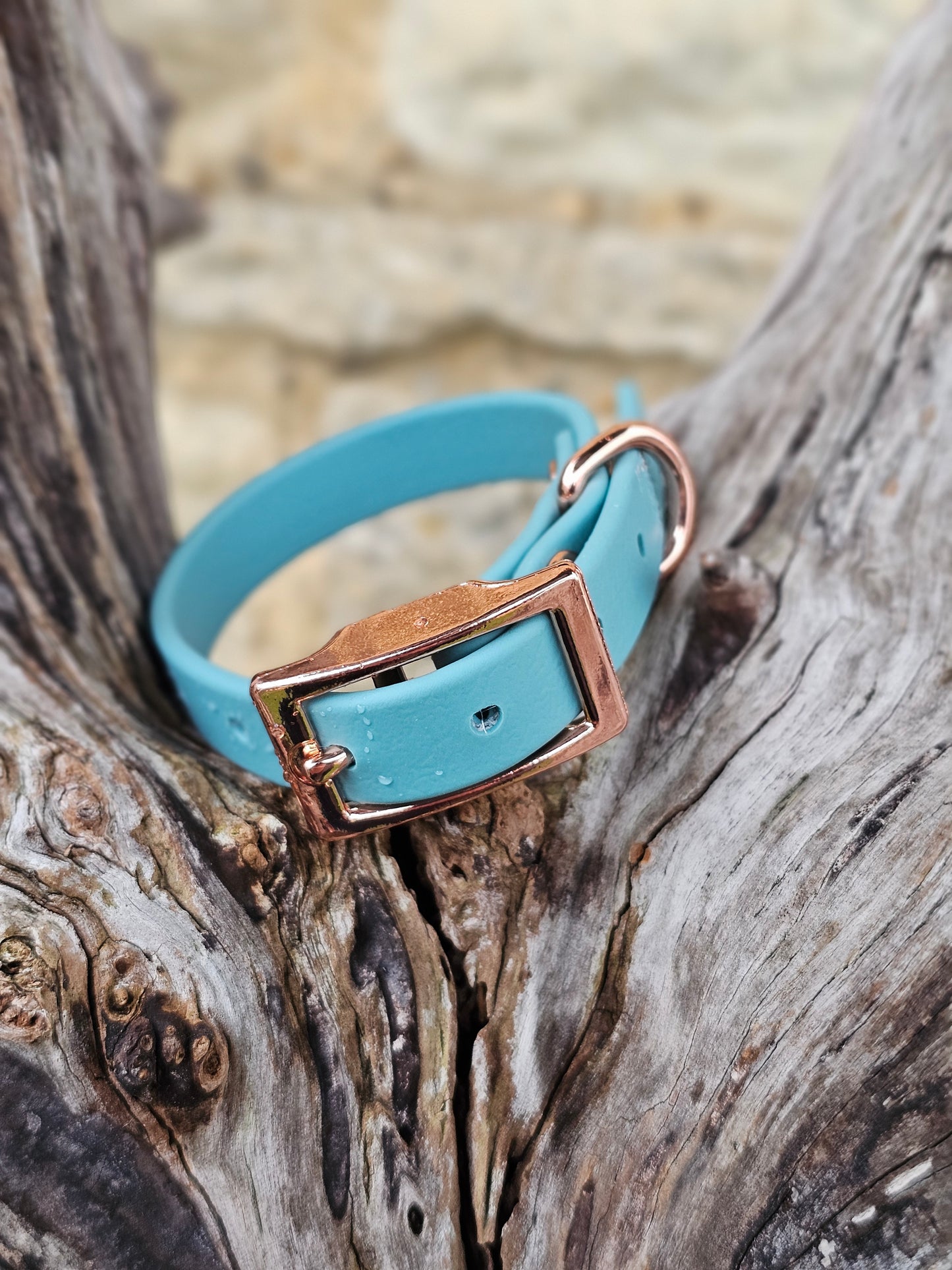 Duckegg - Waterproof BioThane© Dinky Dog Collar