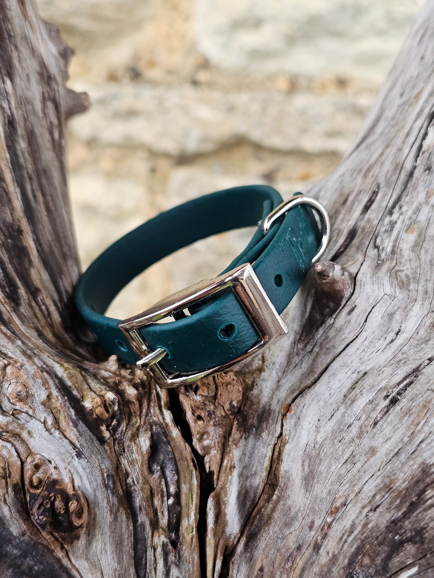 Dark Green - Waterproof BioThane© Dinky Dog Collar