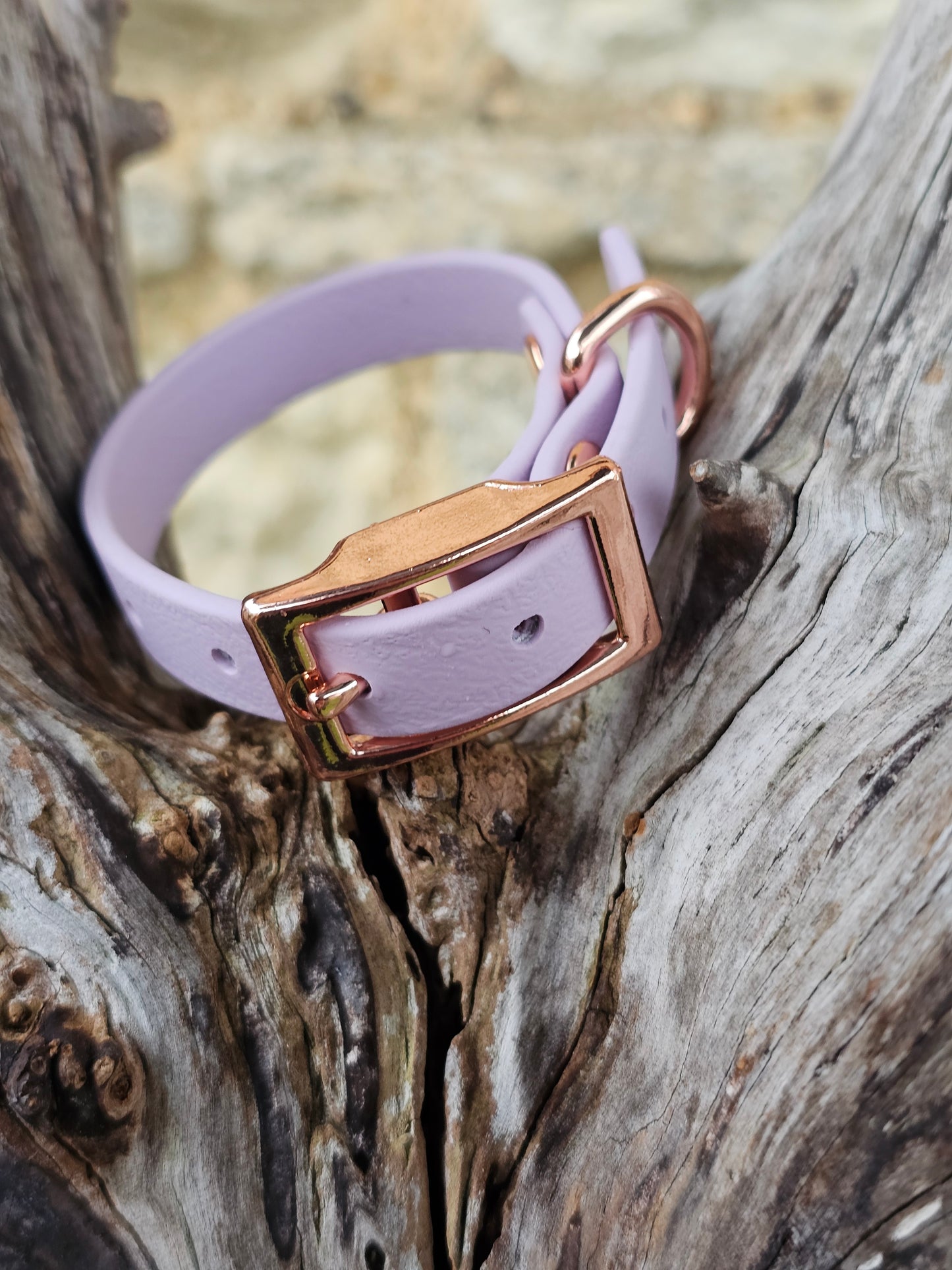 Lilac - Waterproof BioThane© Dinky Dog Collar