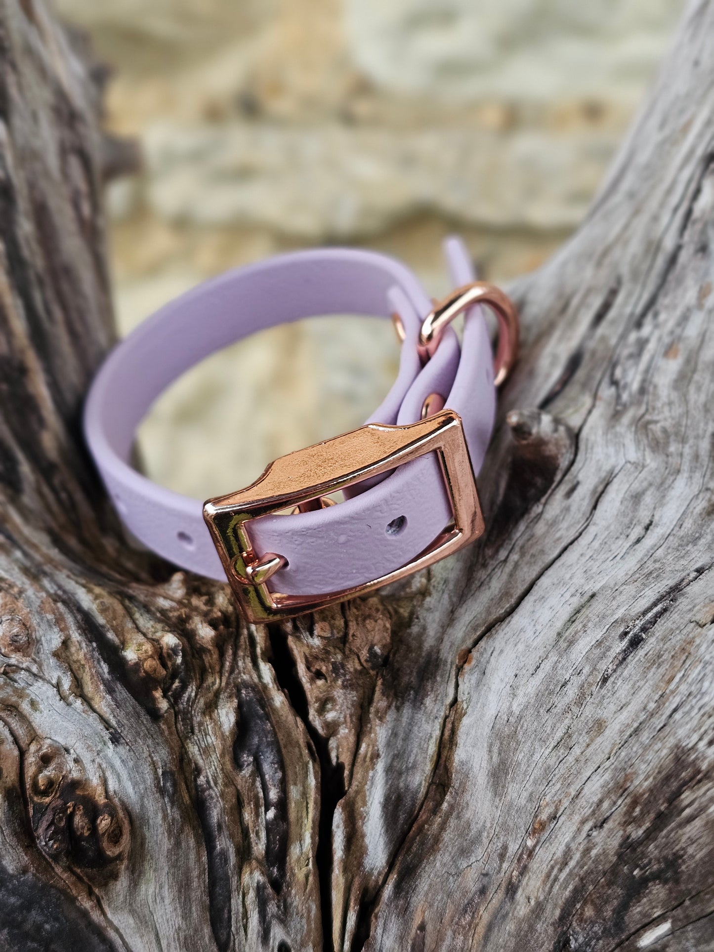 Lilac - Waterproof BioThane© Dinky Dog Collar