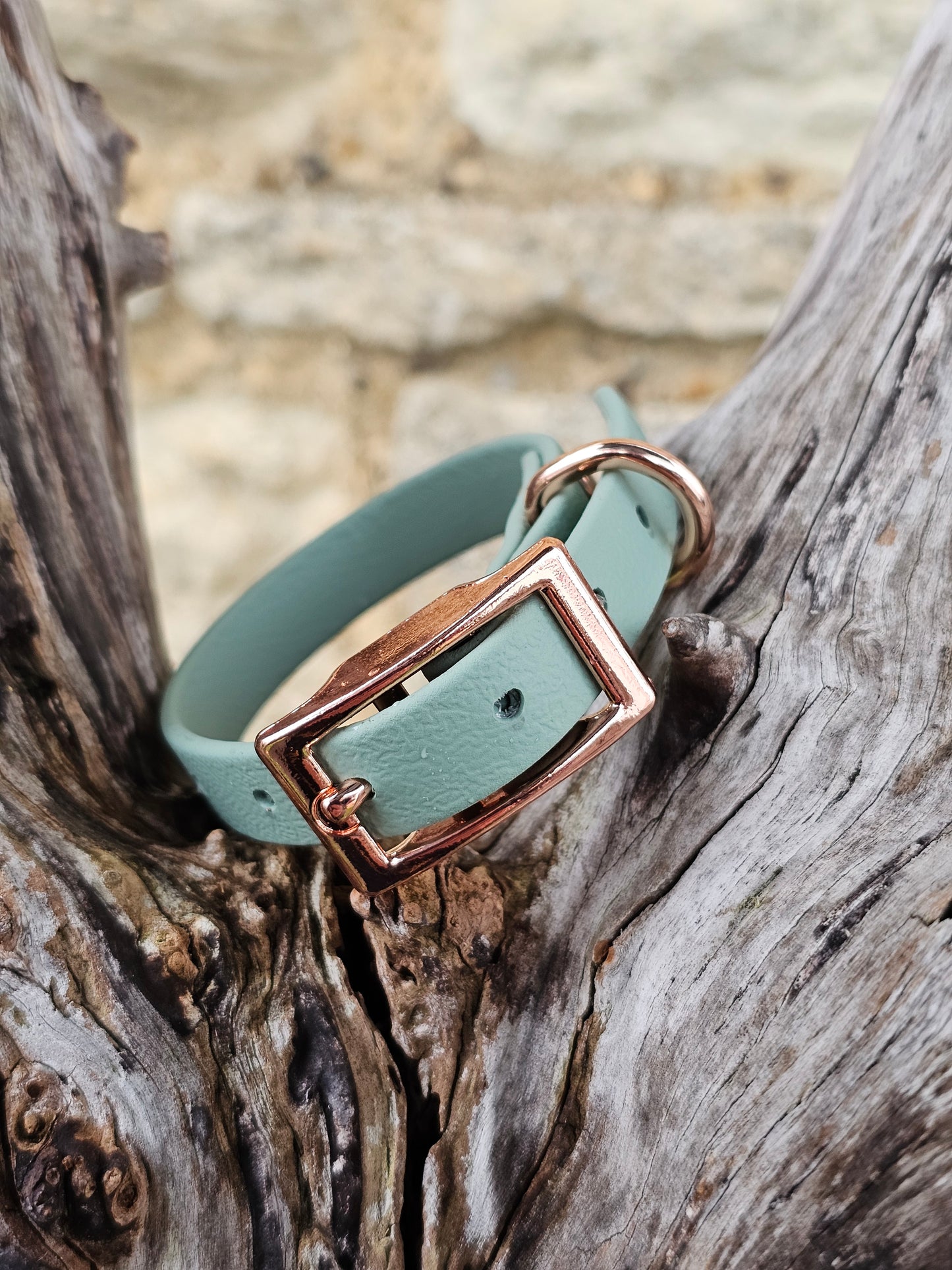 Sage - Waterproof BioThane© Dinky Dog Collar