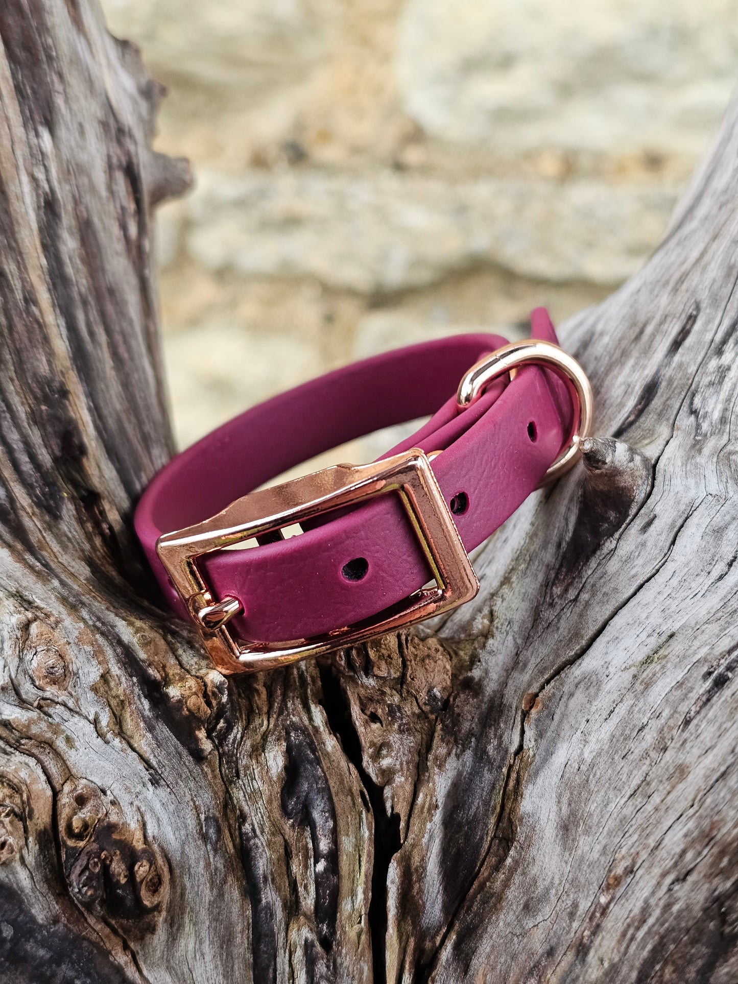 Burgundy - Waterproof BioThane© Dinky Dog Collar