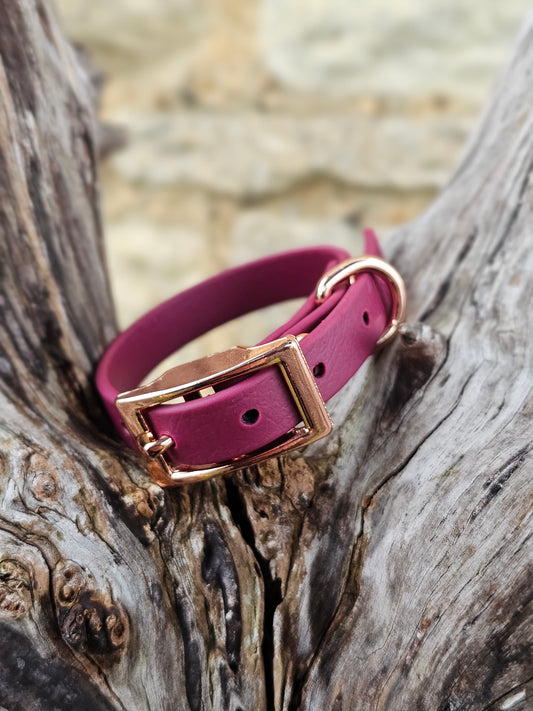 Burgundy - Waterproof BioThane© Dinky Dog Collar