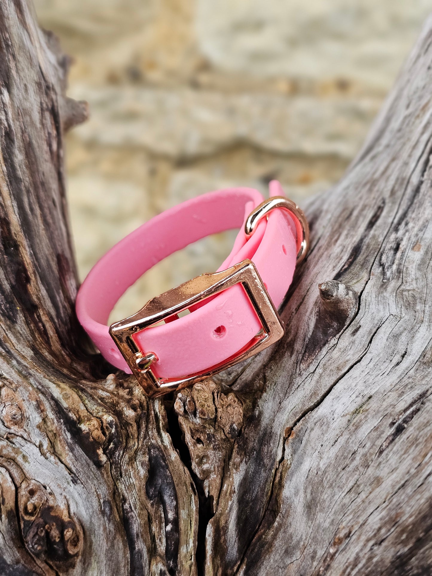 Baby Pink - Waterproof BioThane© Dinky Dog Collar