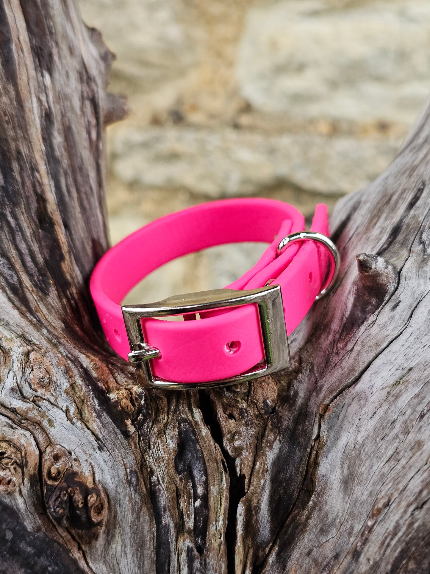 Passion Pink - Waterproof BioThane© Dinky Dog Collar