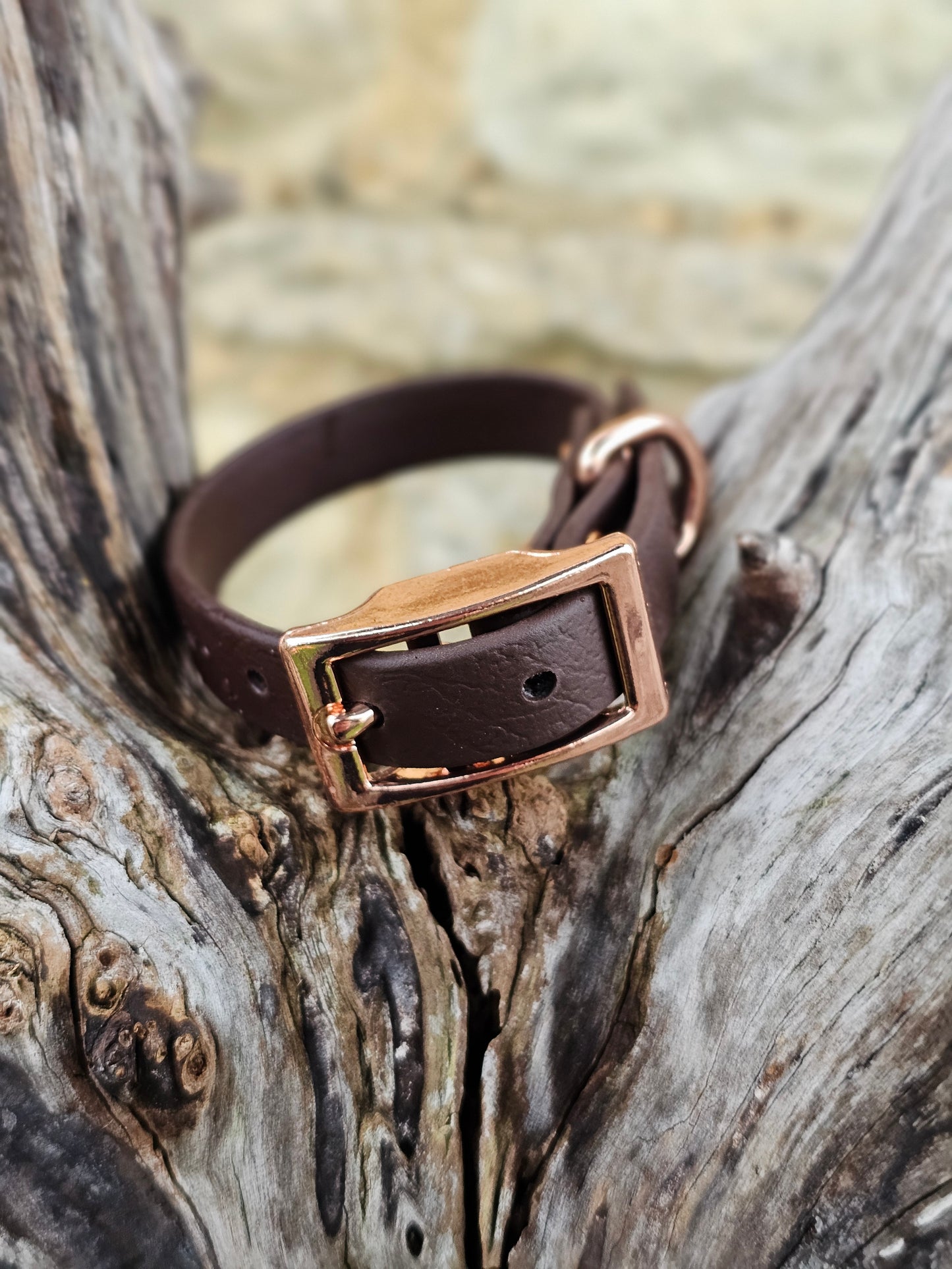 Dark Brown - Waterproof BioThane© Dinky Dog Collar