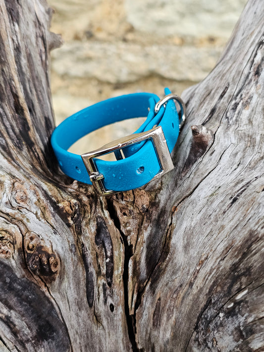 Lagune  - Waterproof BioThane© Dinky Dog Collar