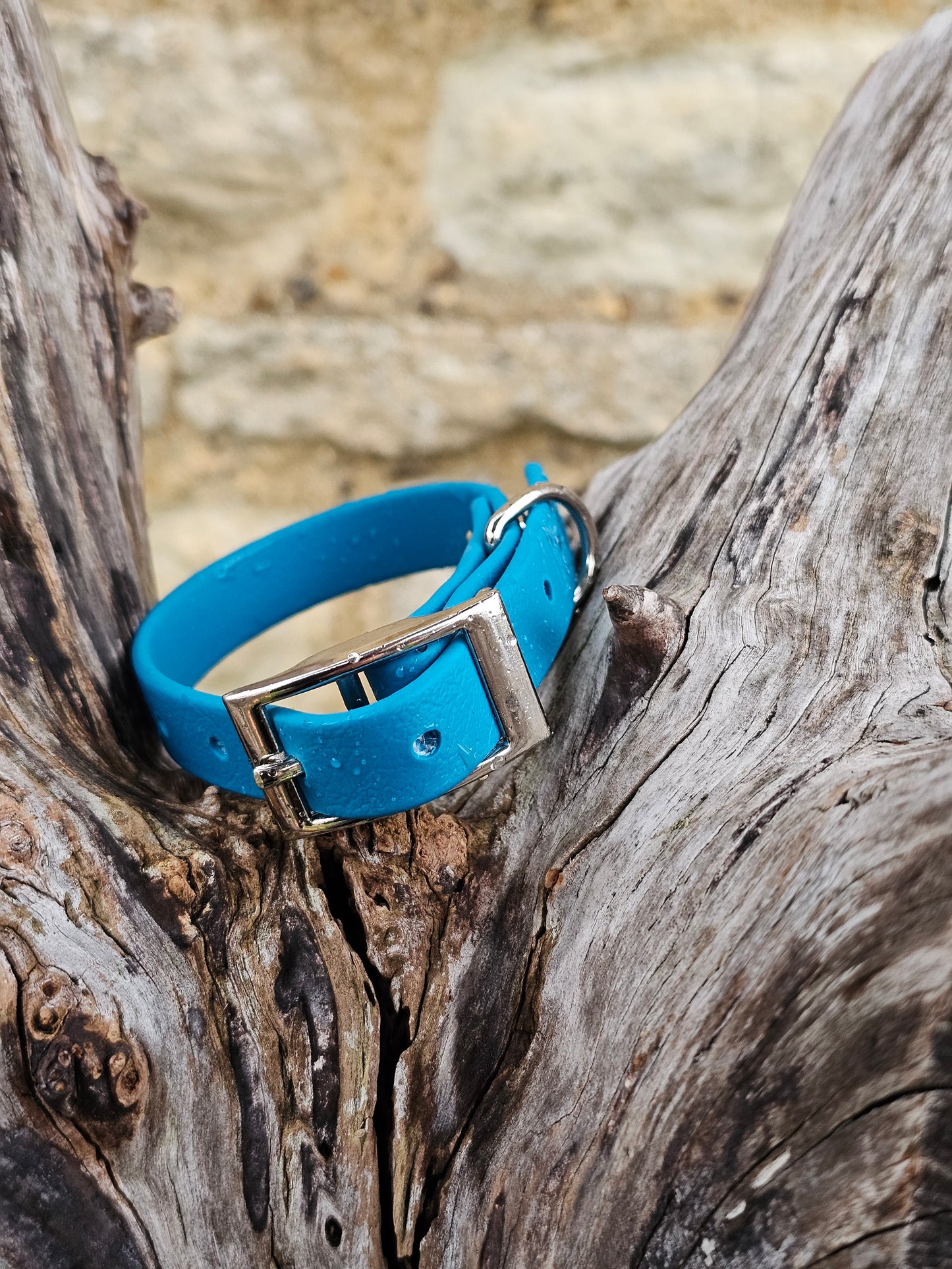Lagune  - Waterproof BioThane© Dinky Dog Collar