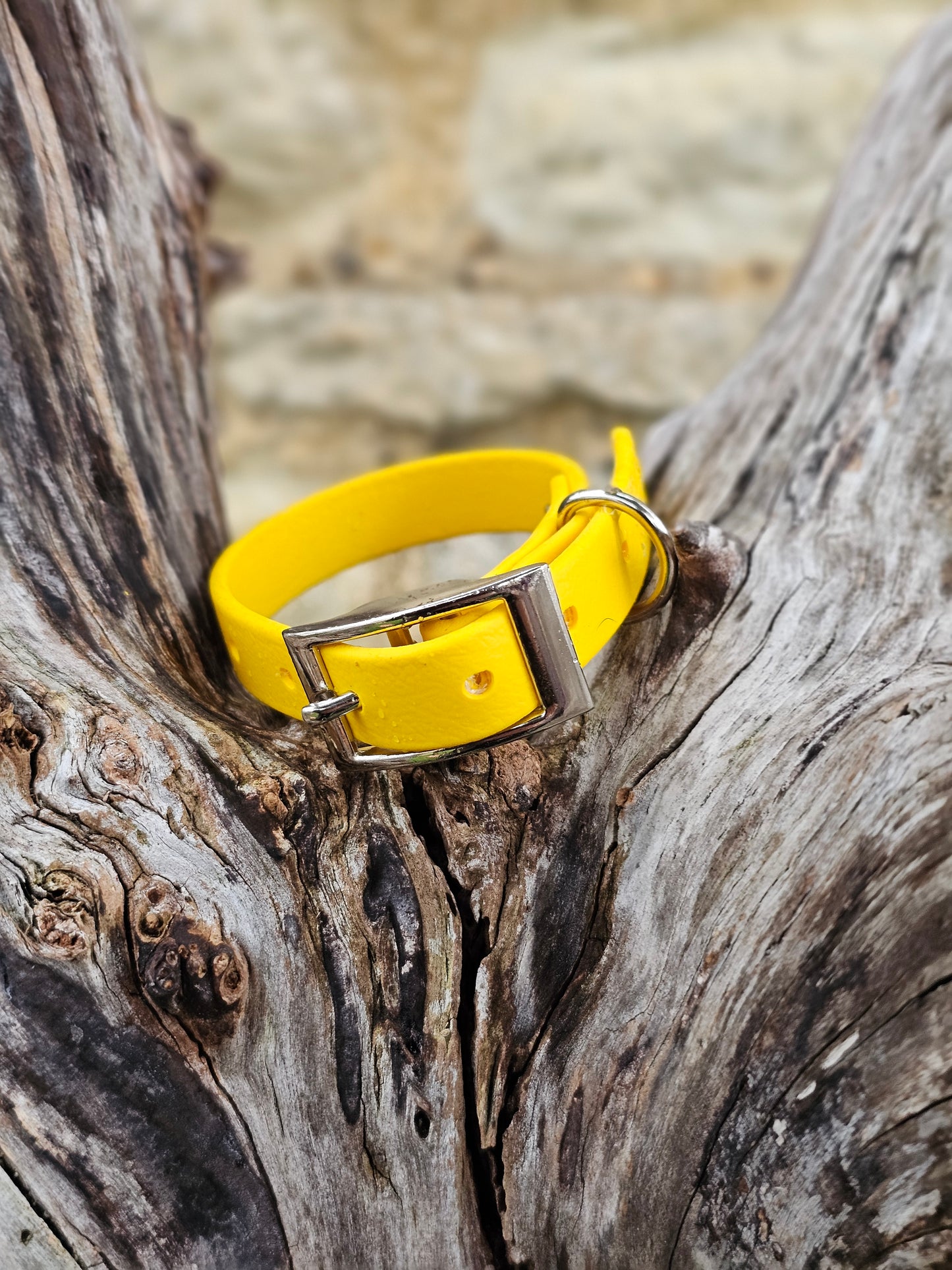 Yellow - Waterproof BioThane© Dinky Dog Collar