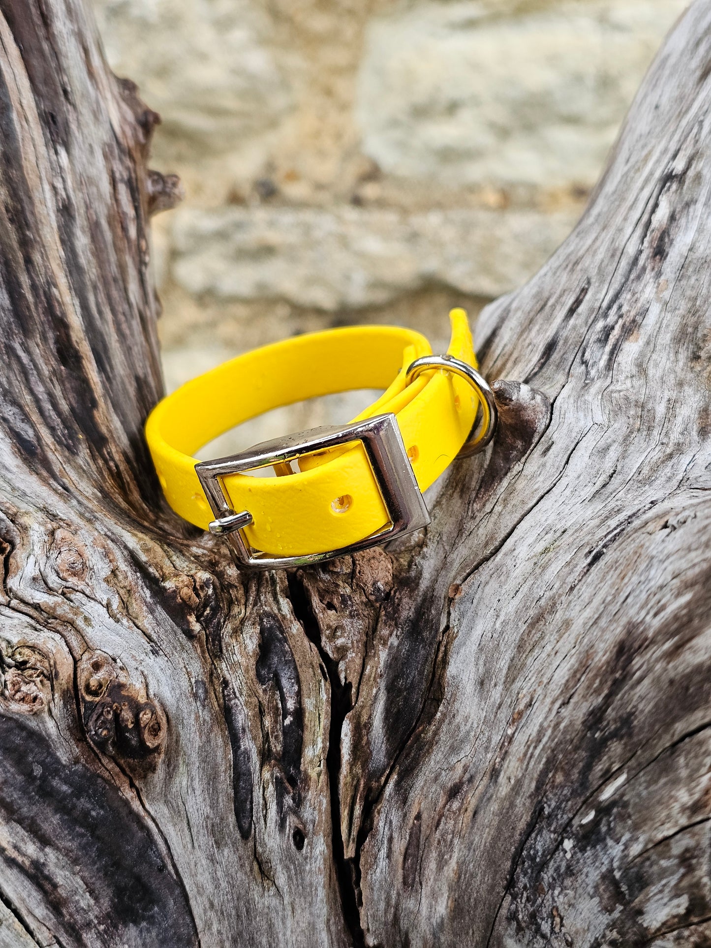 Yellow - Waterproof BioThane© Dinky Dog Collar