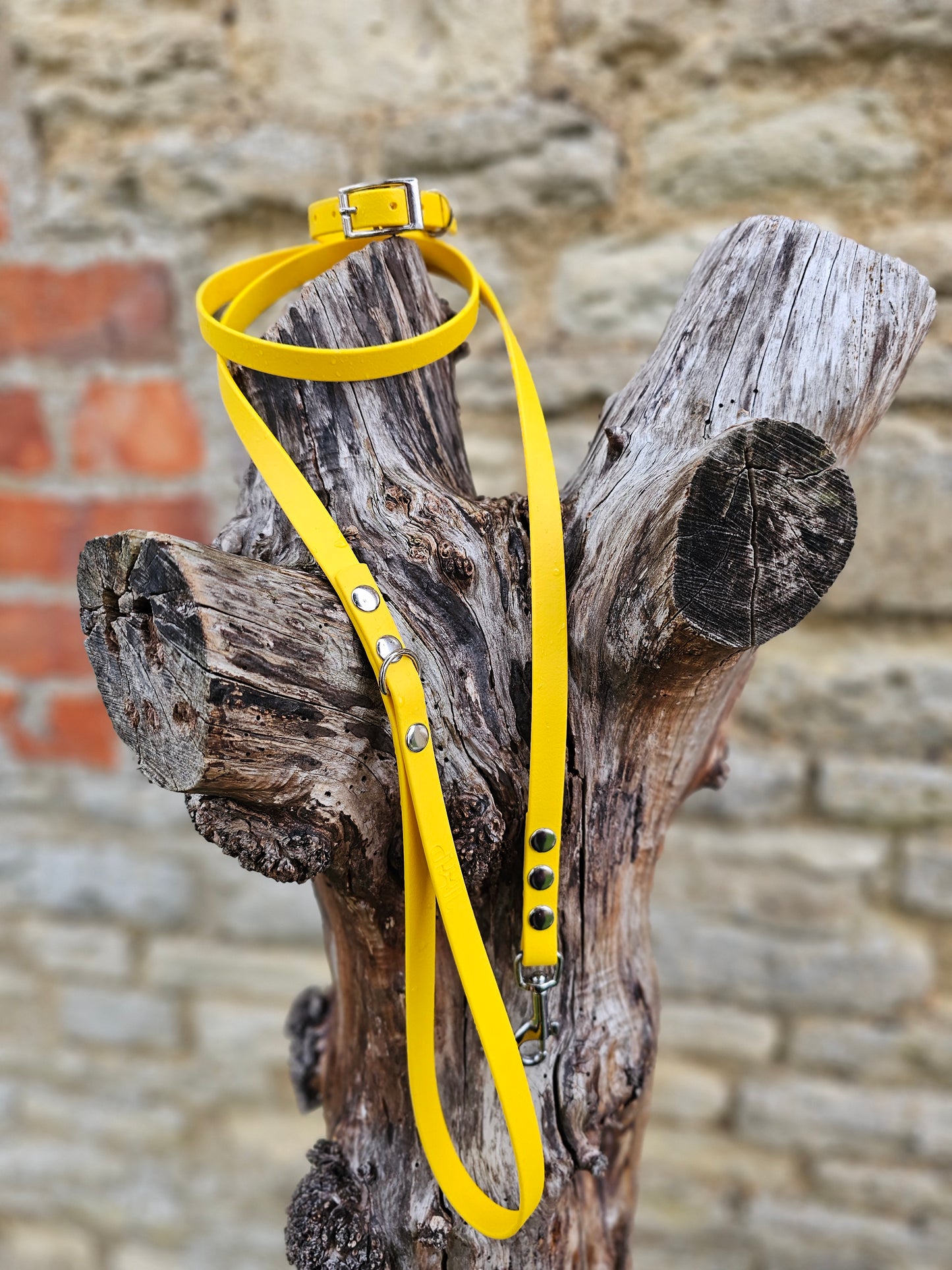 Yellow - Waterproof BioThane© Dinky Dog Lead